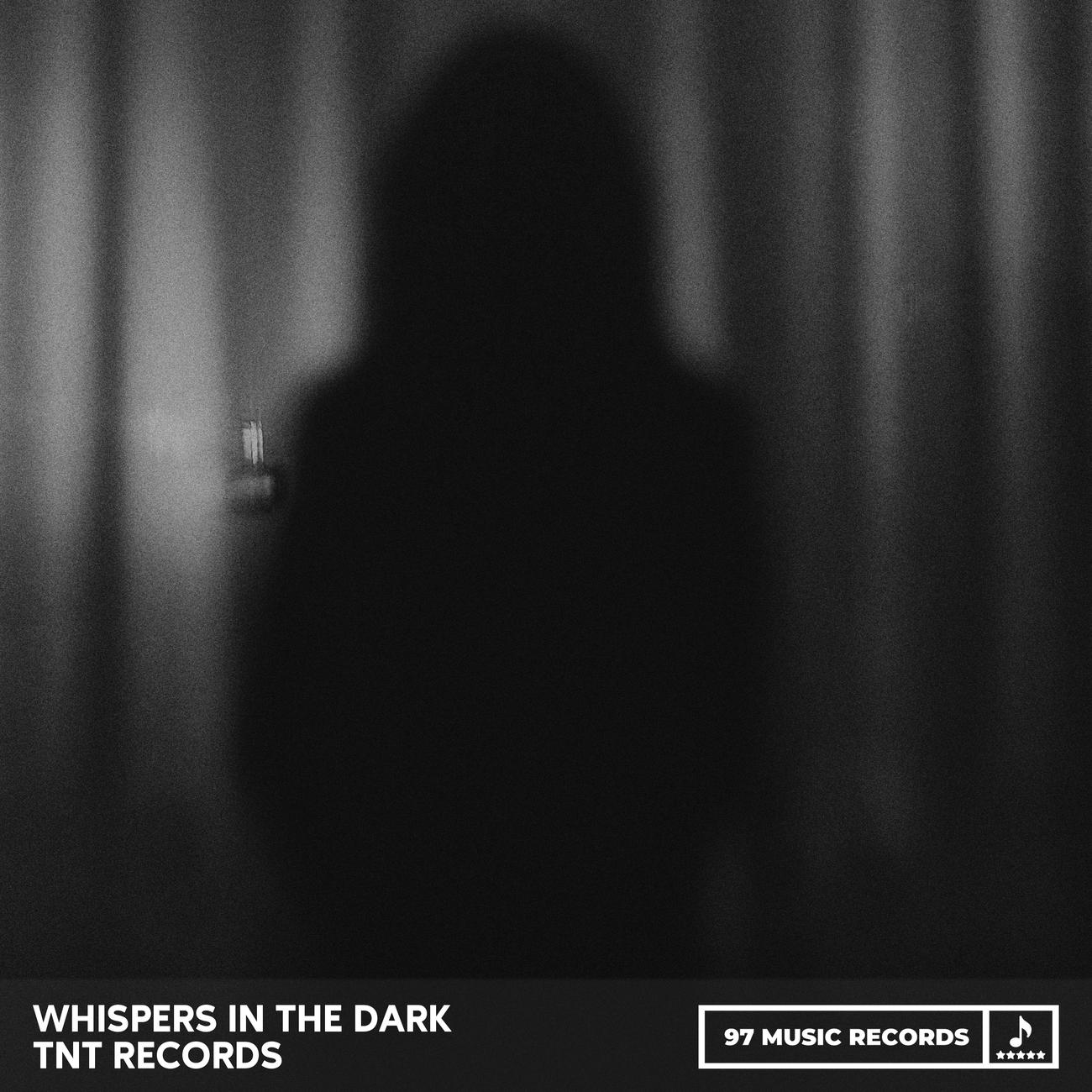 Постер альбома Whispers In The Dark