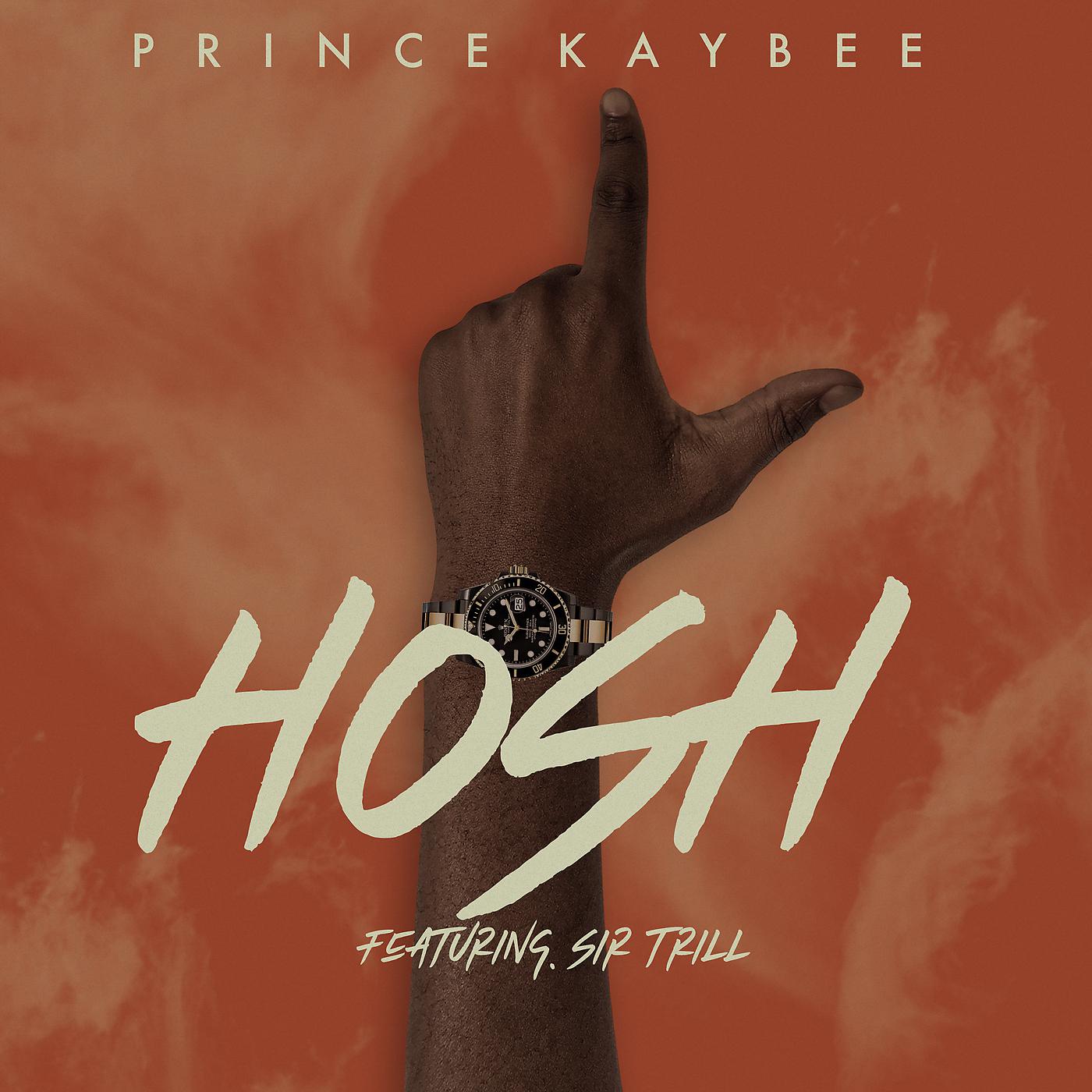 Постер альбома Hosh