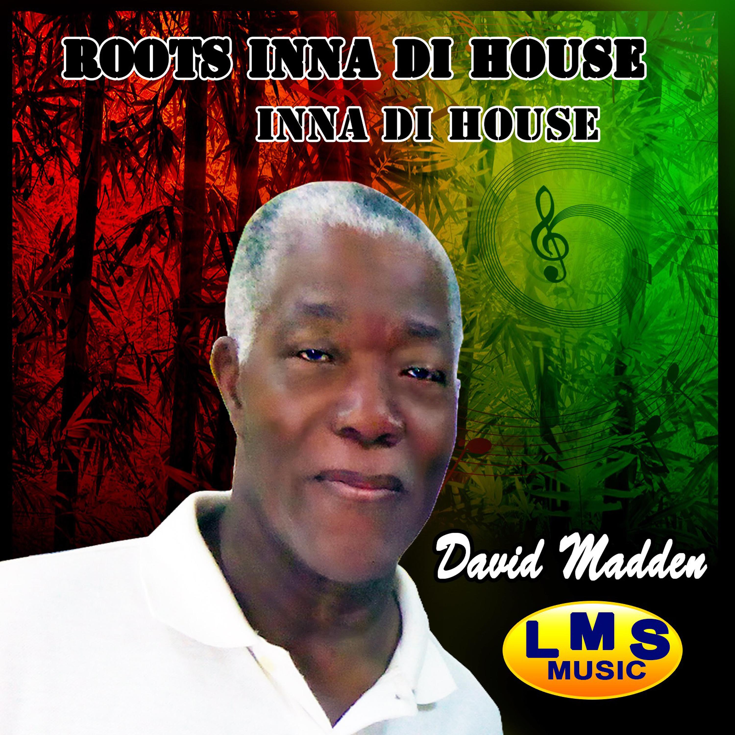 Постер альбома Inna Di House