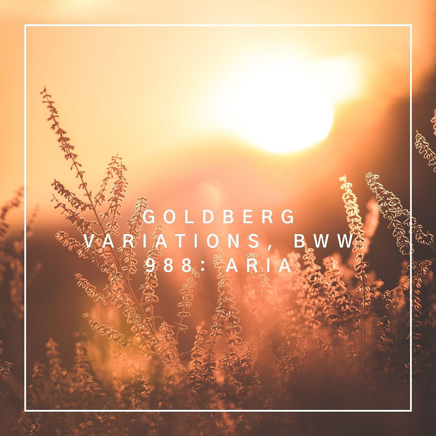 Постер альбома Goldberg Variations, BWW 988: Aria