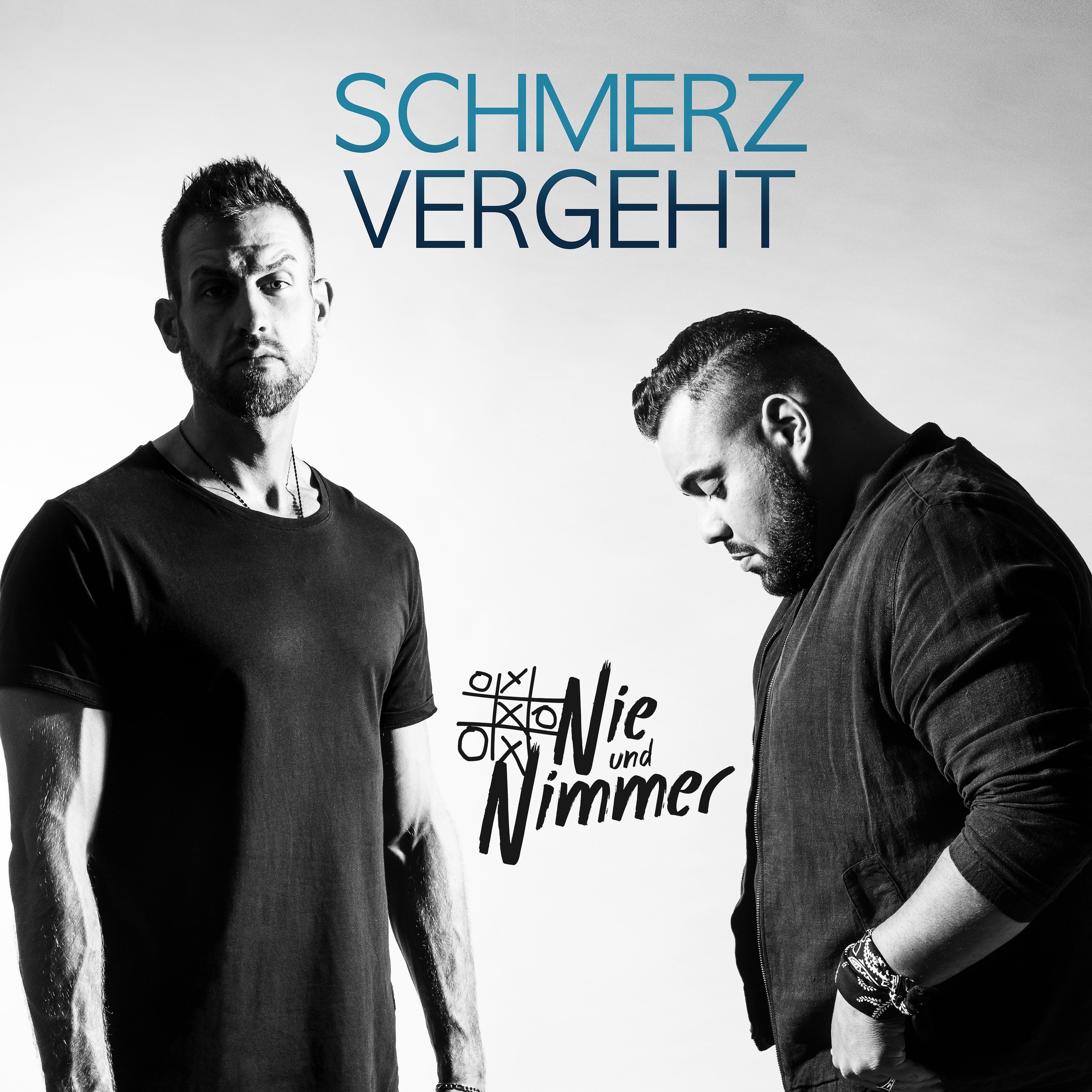 Постер альбома Schmerz vergeht