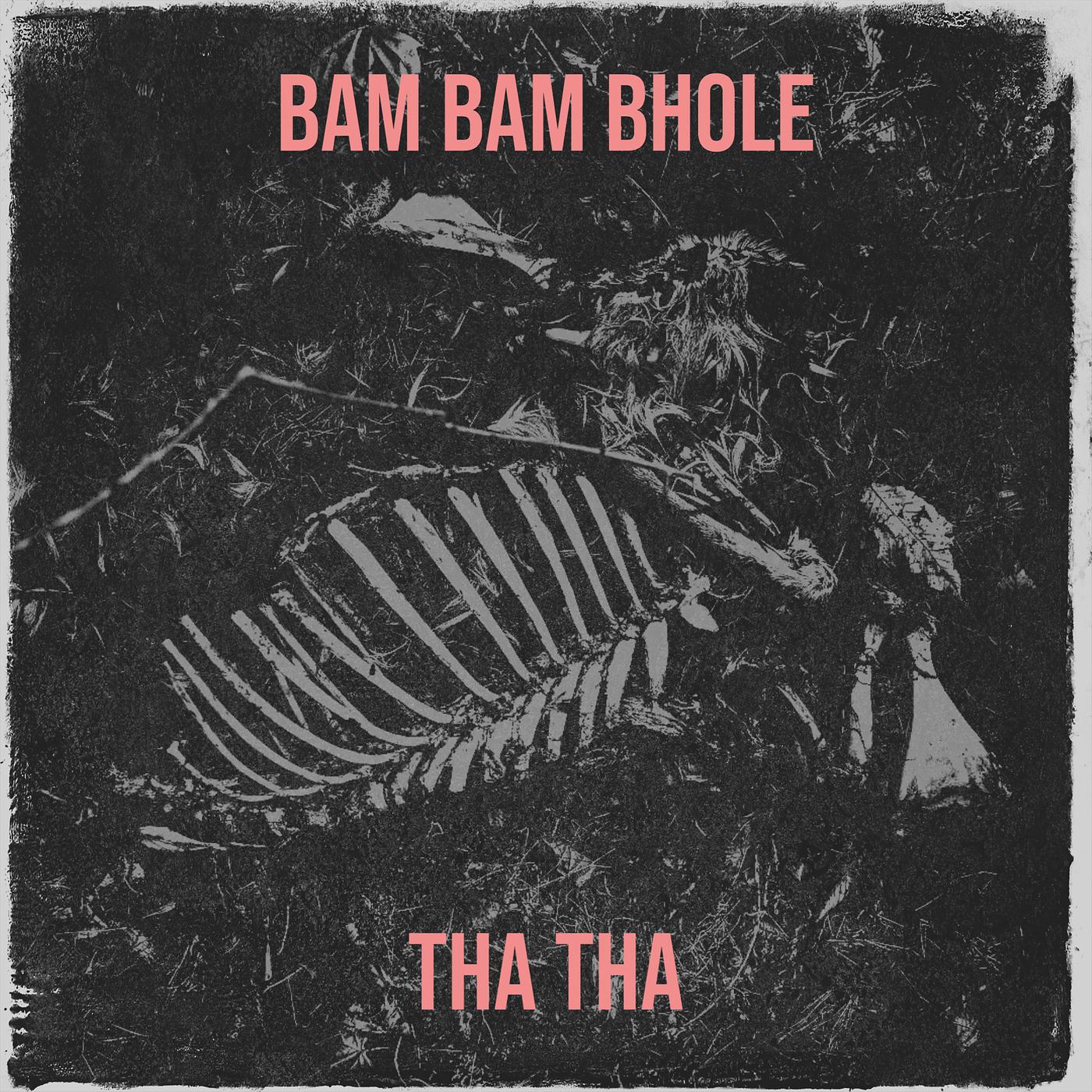 Постер альбома Bam Bam Bhole