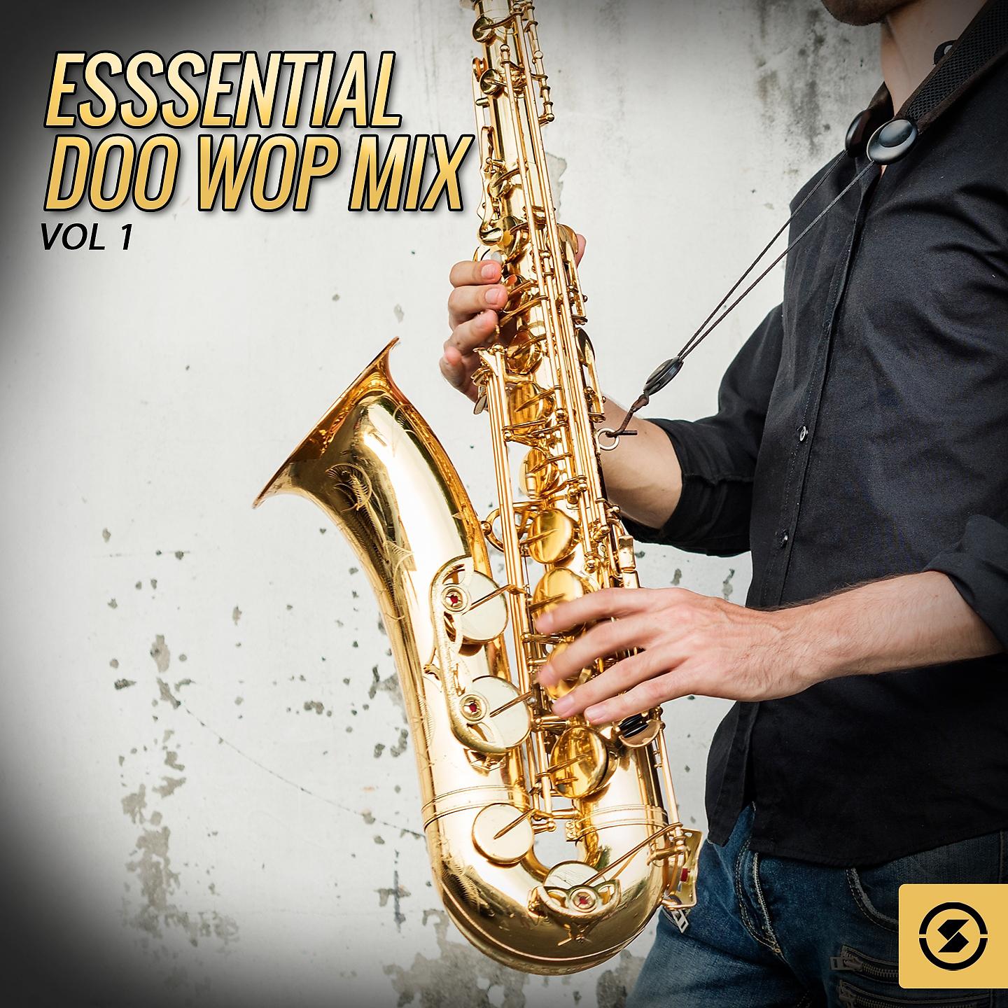 Постер альбома Esssential Doo Wop Mix, Vol. 1