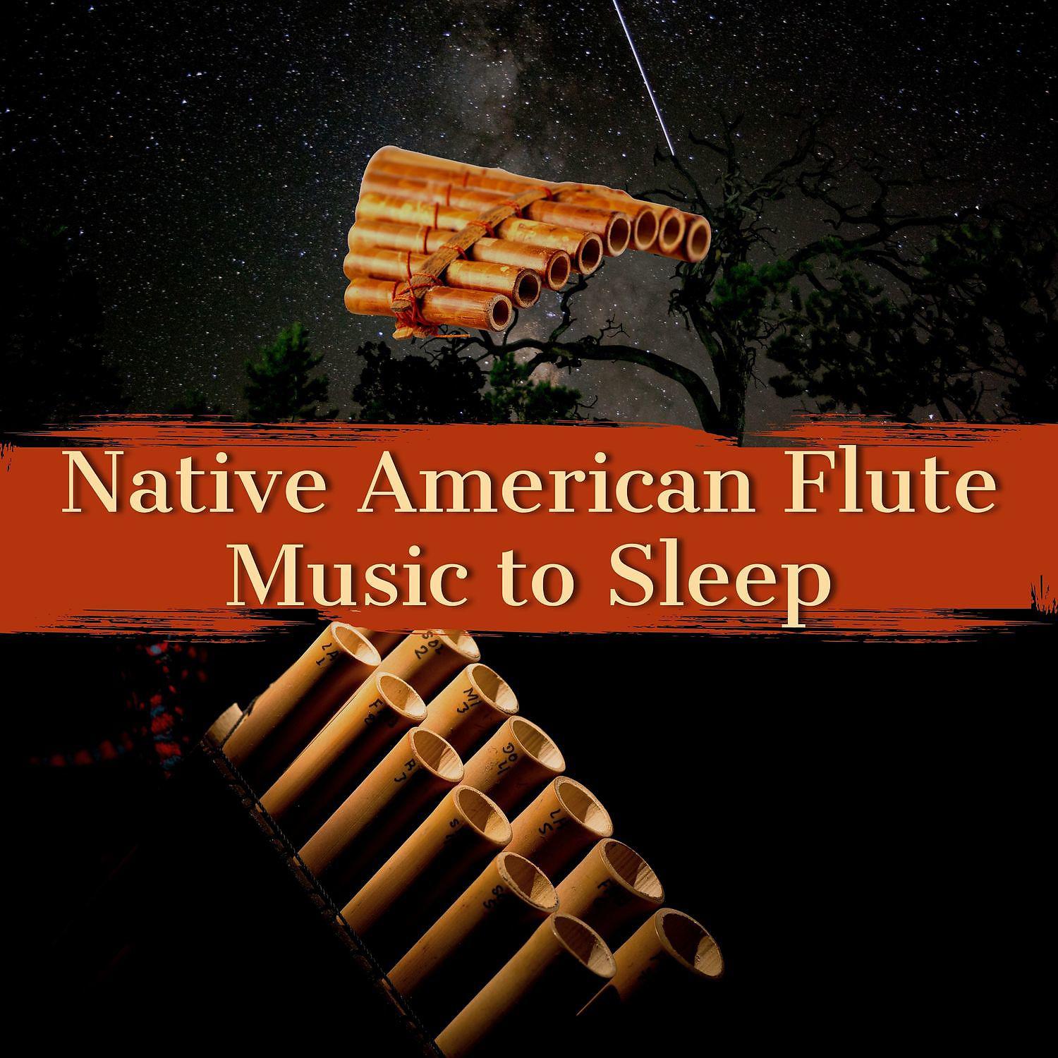 Постер альбома Native American Flute Music to Sleep