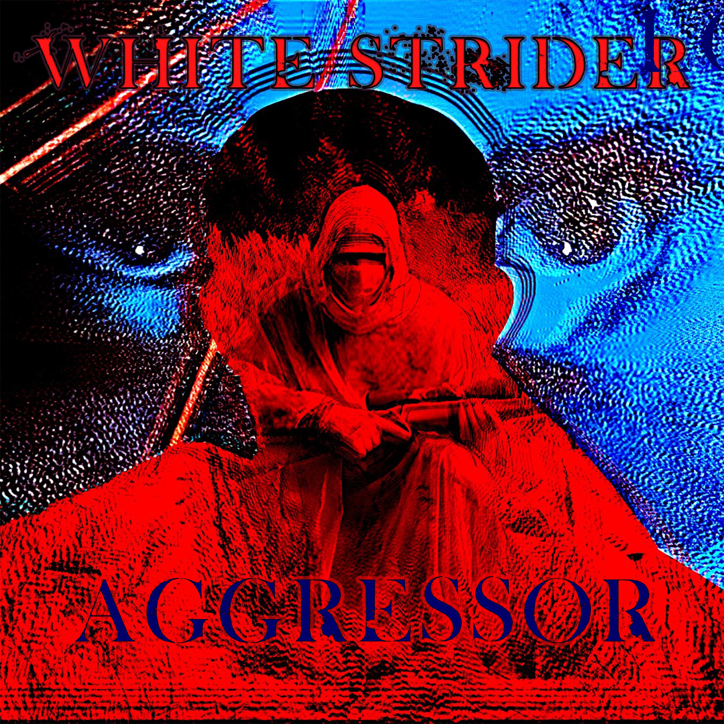 Постер альбома Aggressor