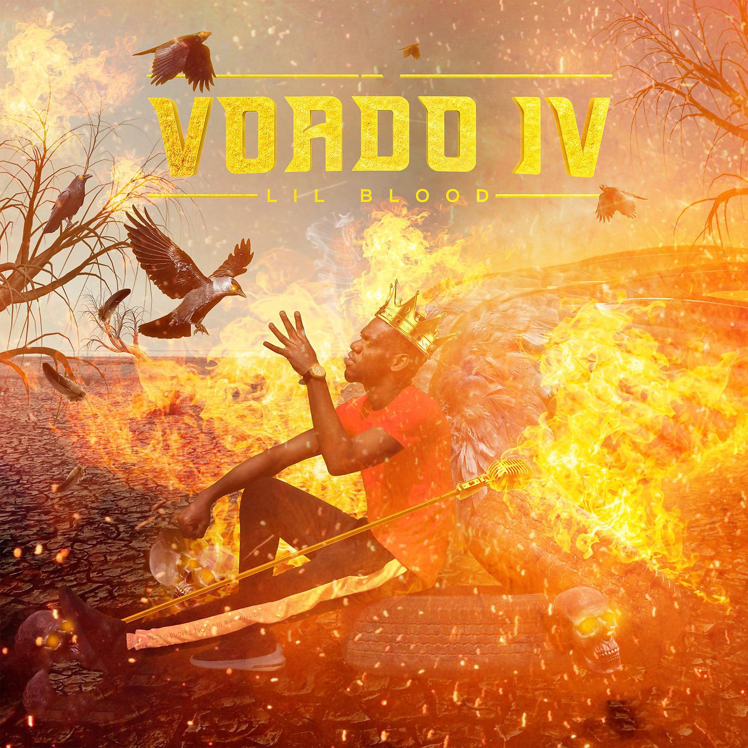 Постер альбома Voado IV