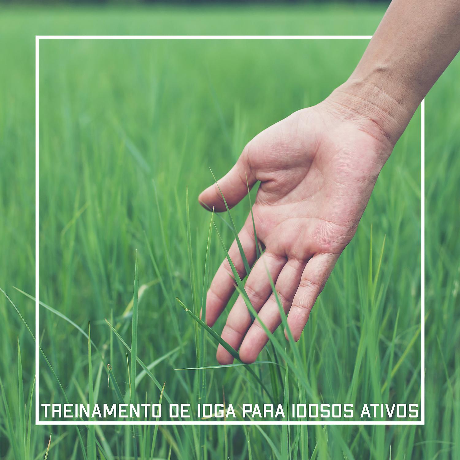 Постер альбома Treinamento de Ioga para Idosos Ativos - Promovem Bem-estar, Cura e Harmonia
