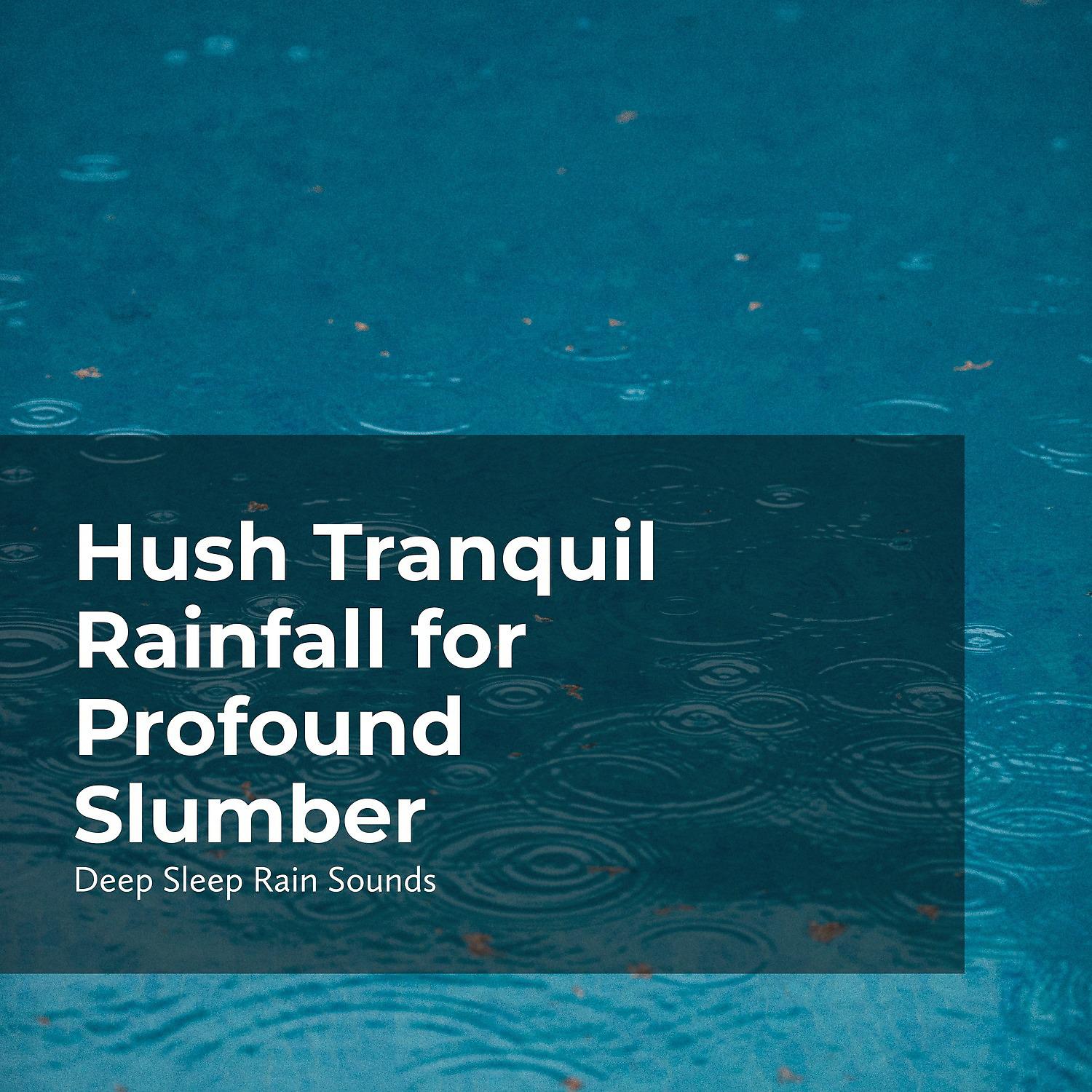 Постер альбома Hush Tranquil Rainfall for Profound Slumber
