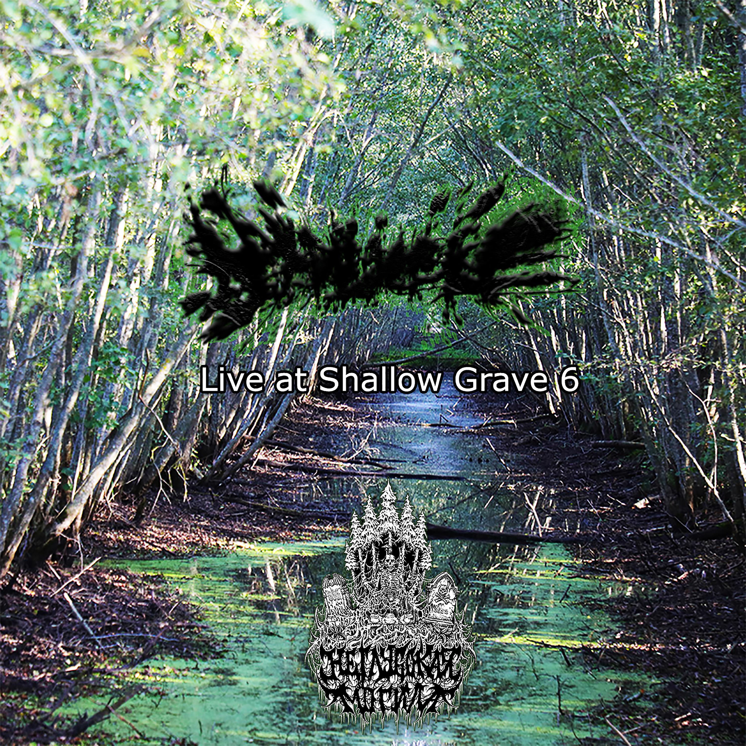 Постер альбома Live at Shallow Grave 6