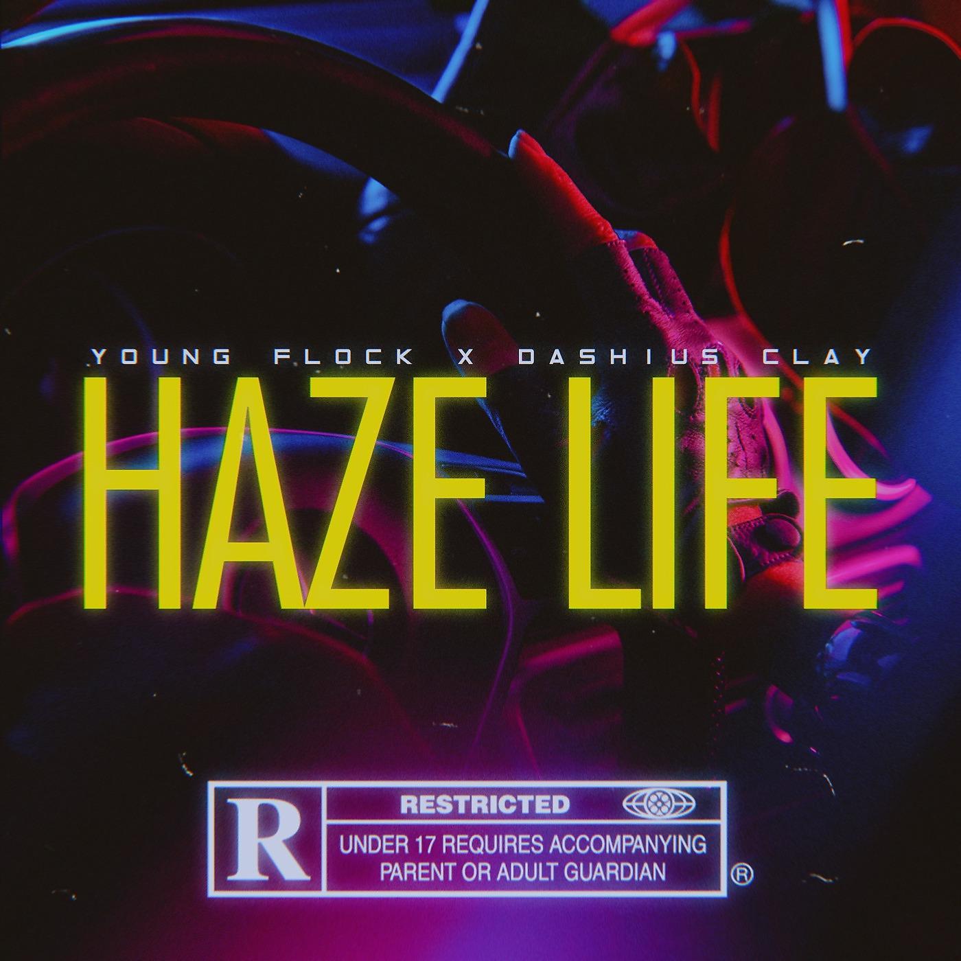 Постер альбома Haze Life