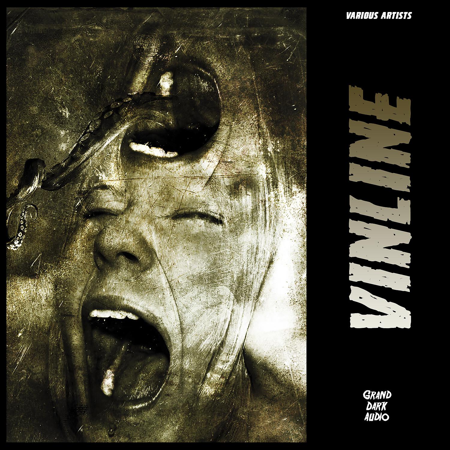 Постер альбома Vinline