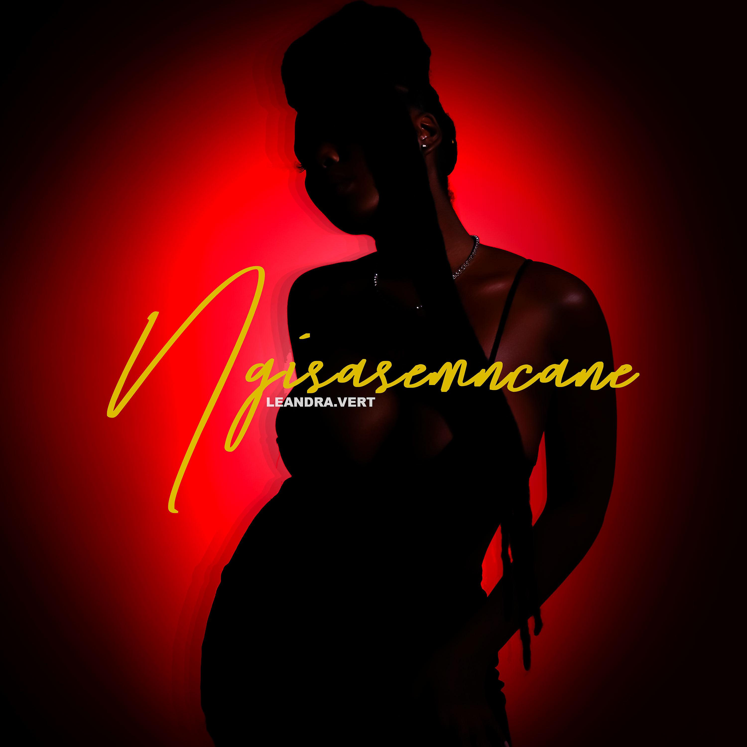 Постер альбома Ngisasemncane