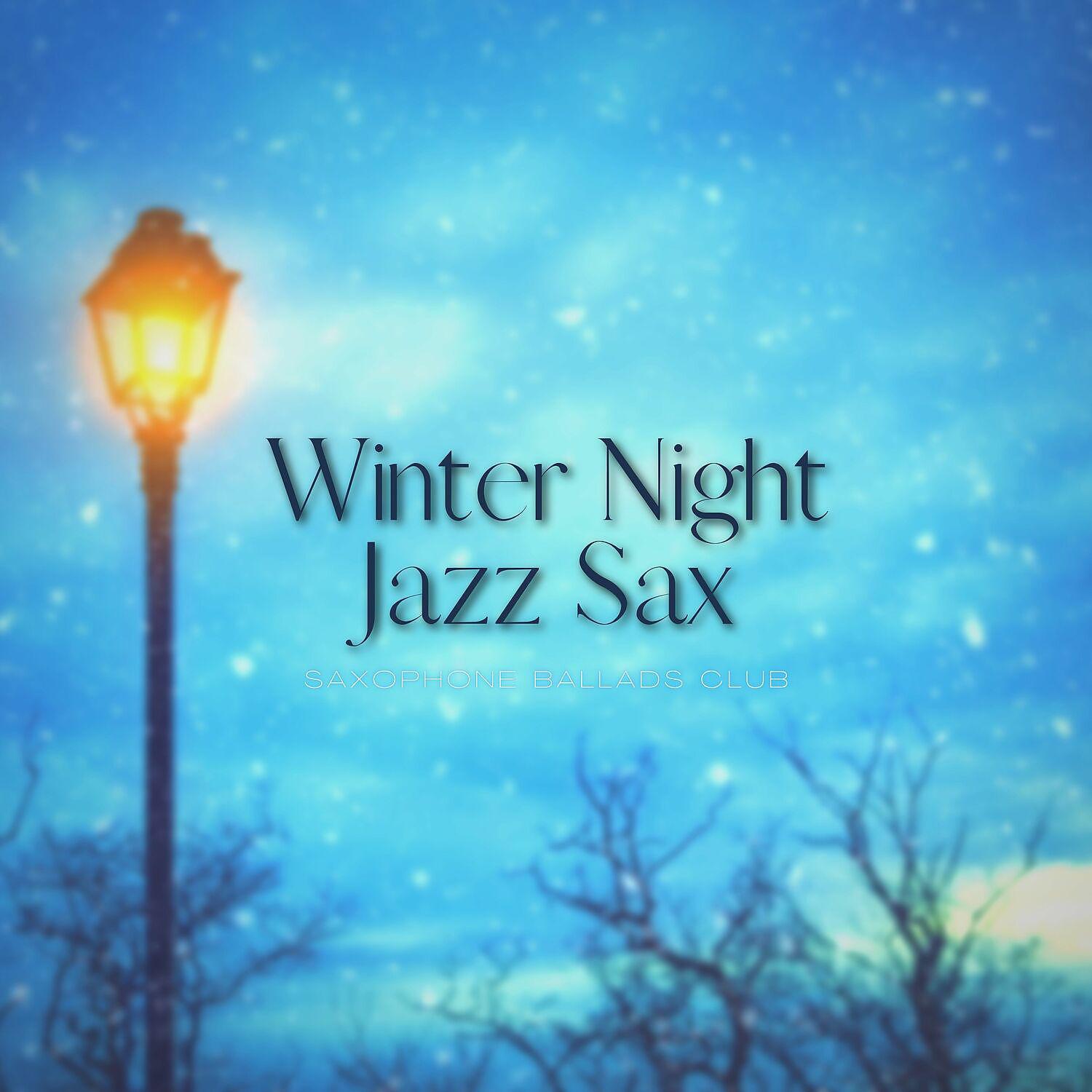 Постер альбома Winter Night Jazz Sax Music