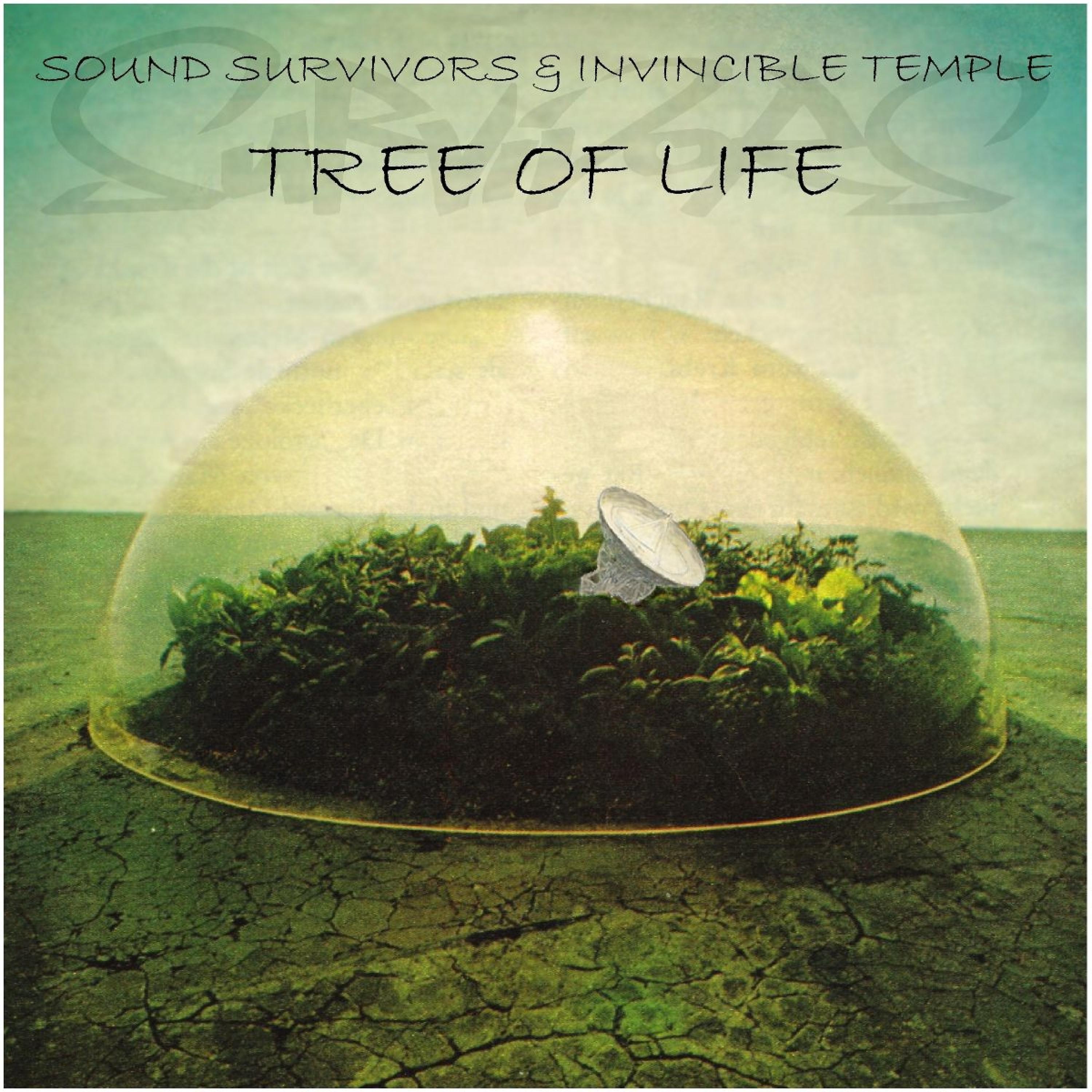 Постер альбома Tree of Life