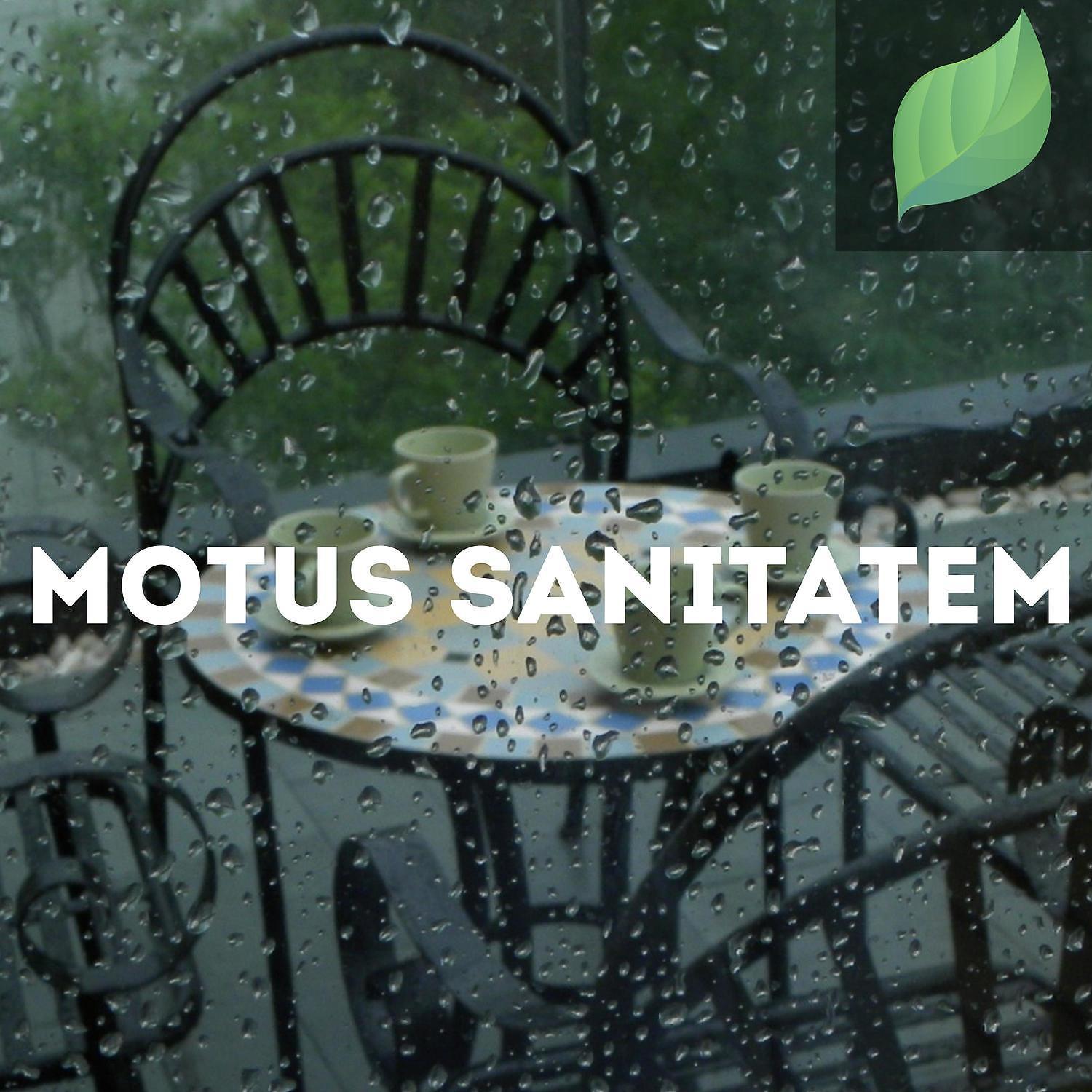 Постер альбома Motus Sanitatem