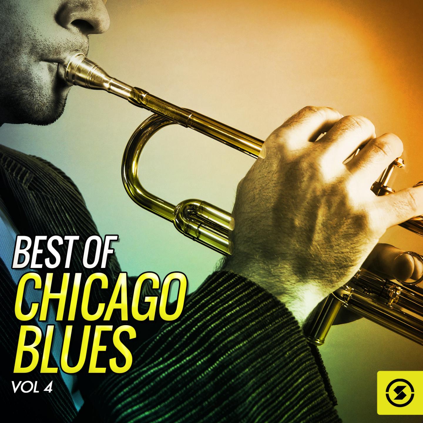 Постер альбома Best of Chicago Blues, Vol. 4