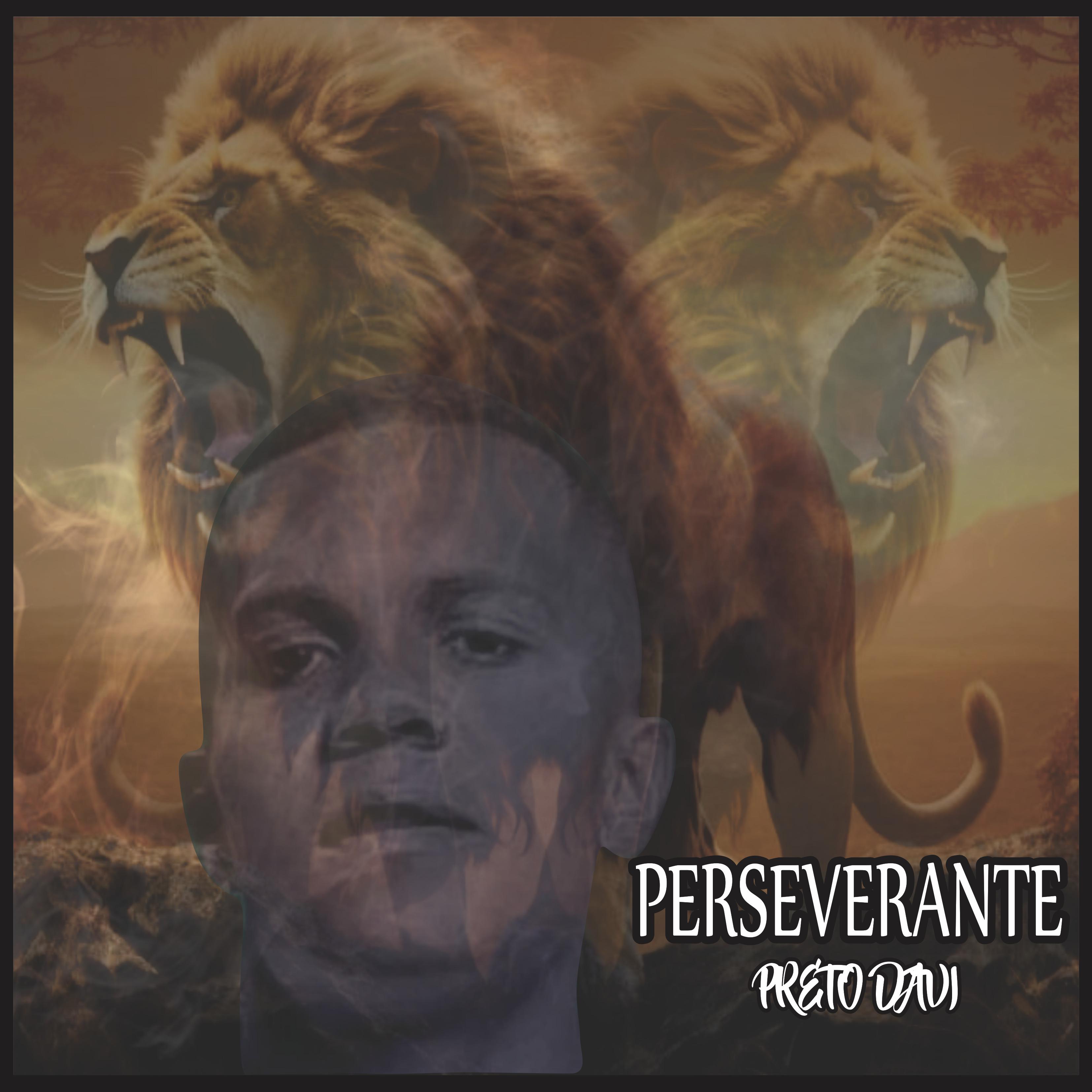 Постер альбома Perseverante
