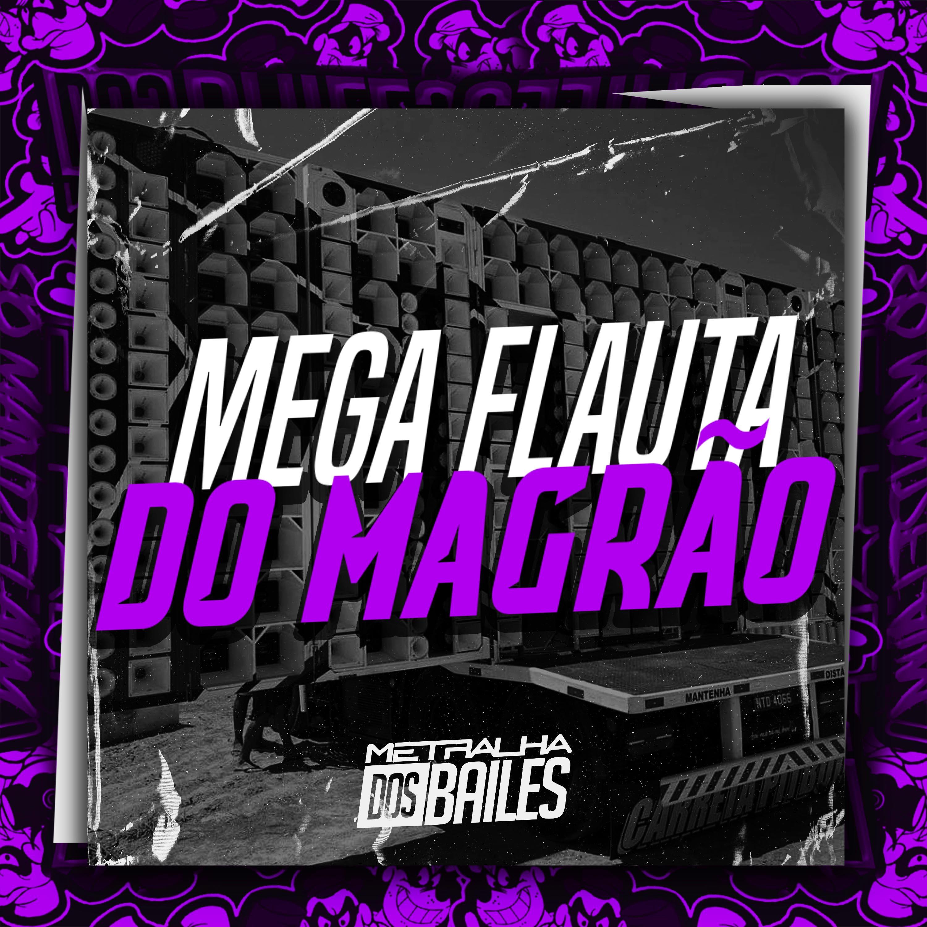 Постер альбома Mega Flauta do Magrão