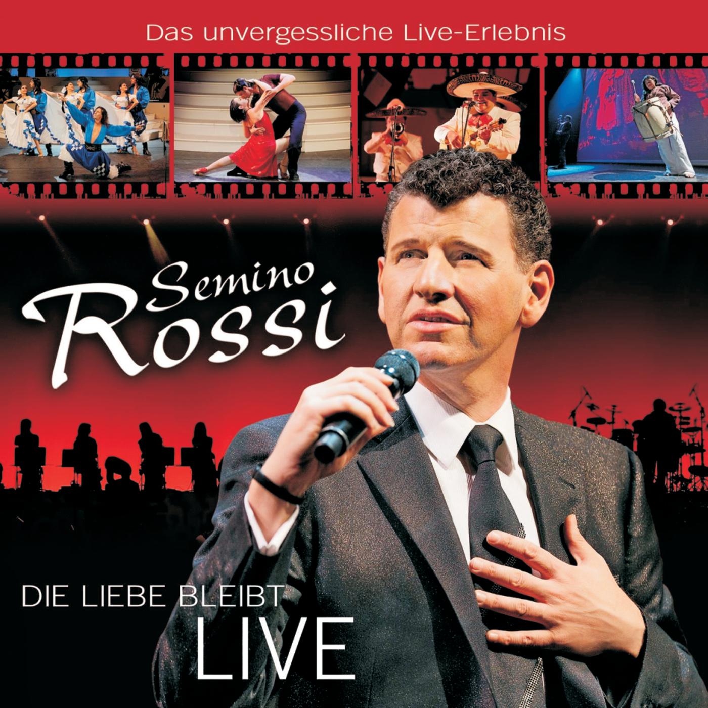 Постер альбома Die Liebe bleibt (Live)