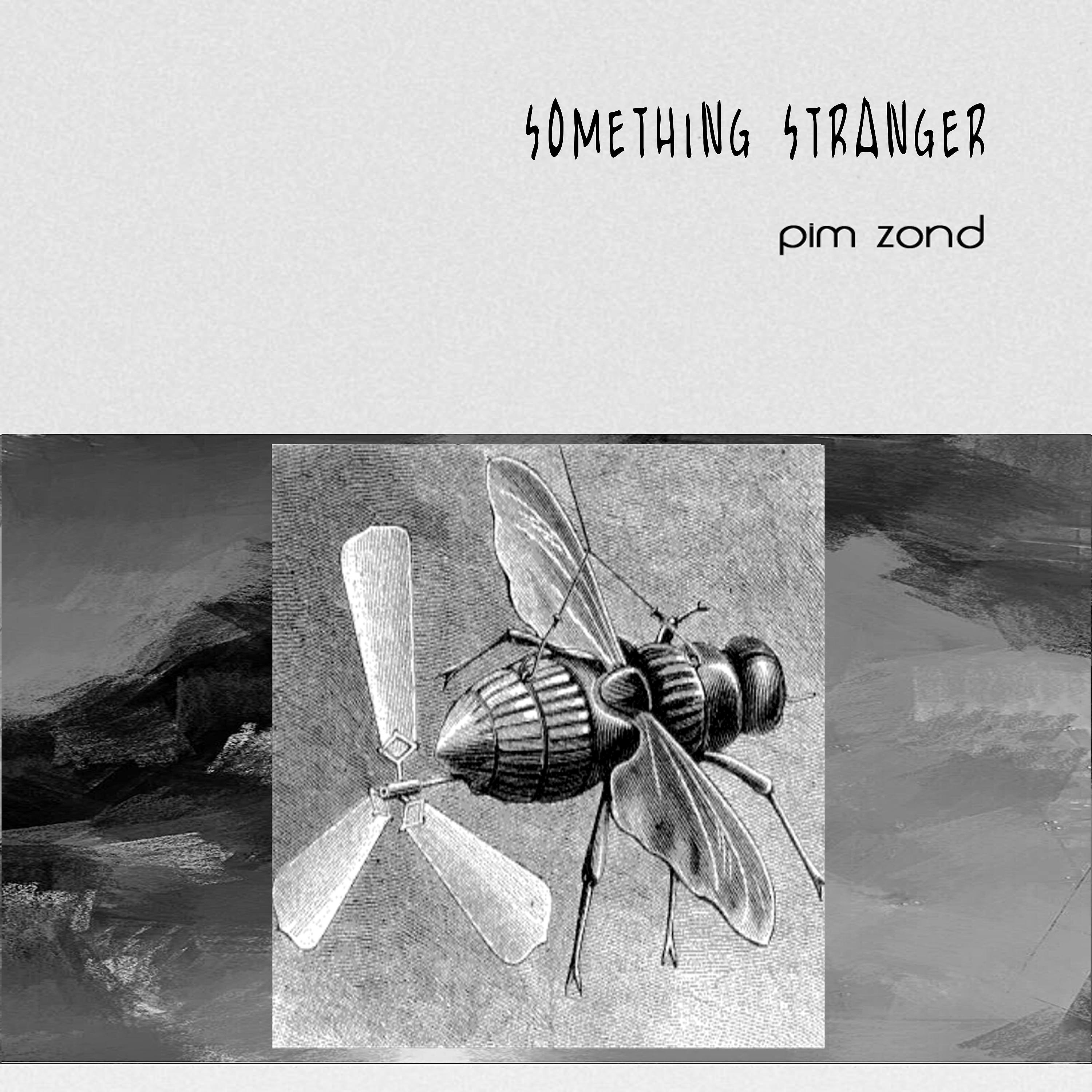 Постер альбома Something Stranger