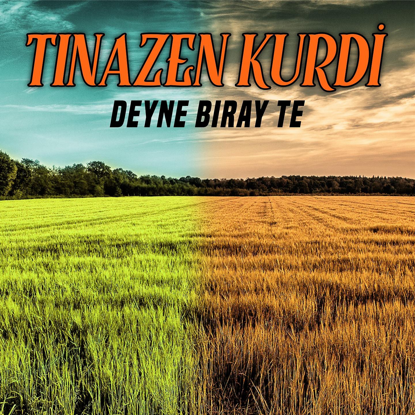 Постер альбома Deyne Bıray Te