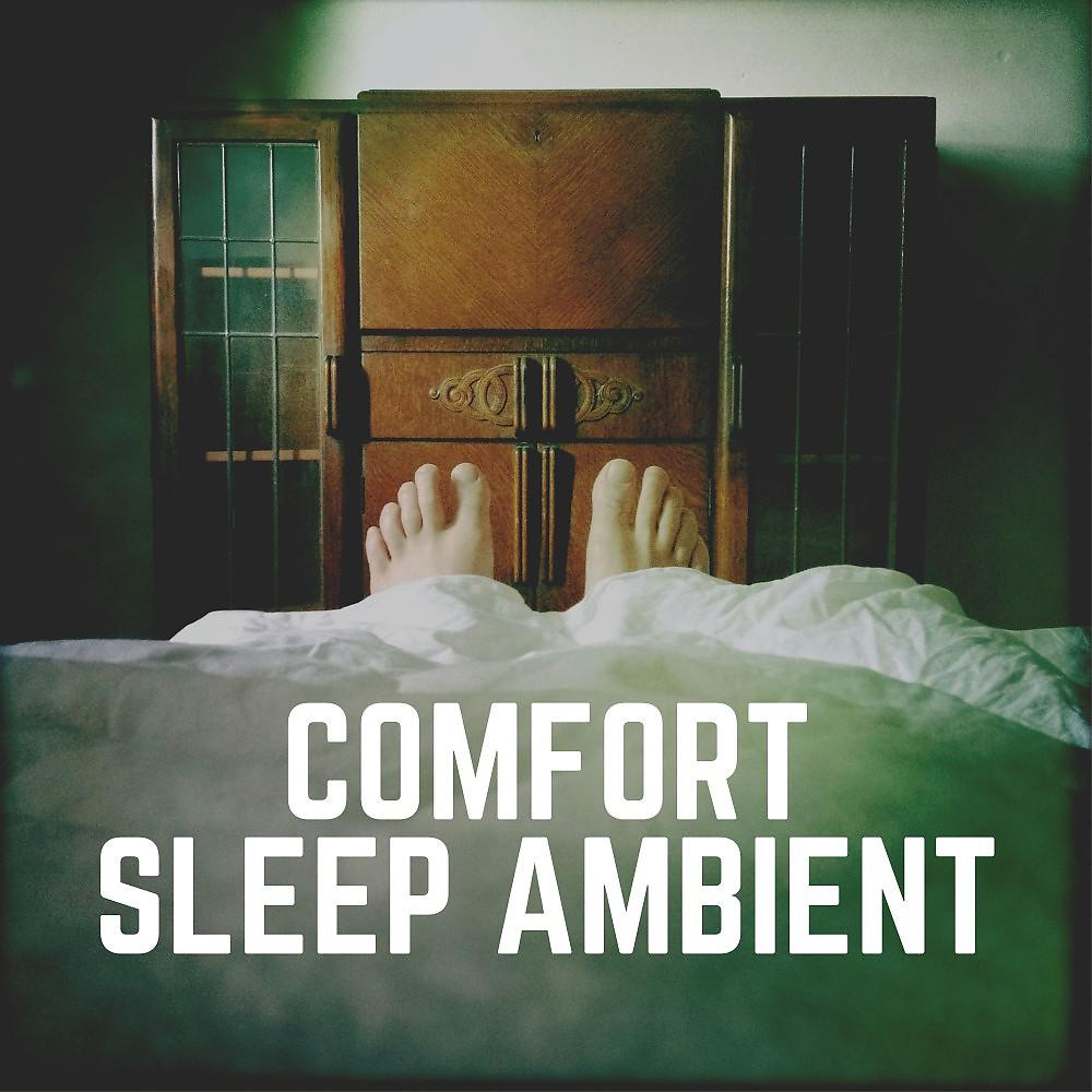 Постер альбома Comfort Sleep Ambient