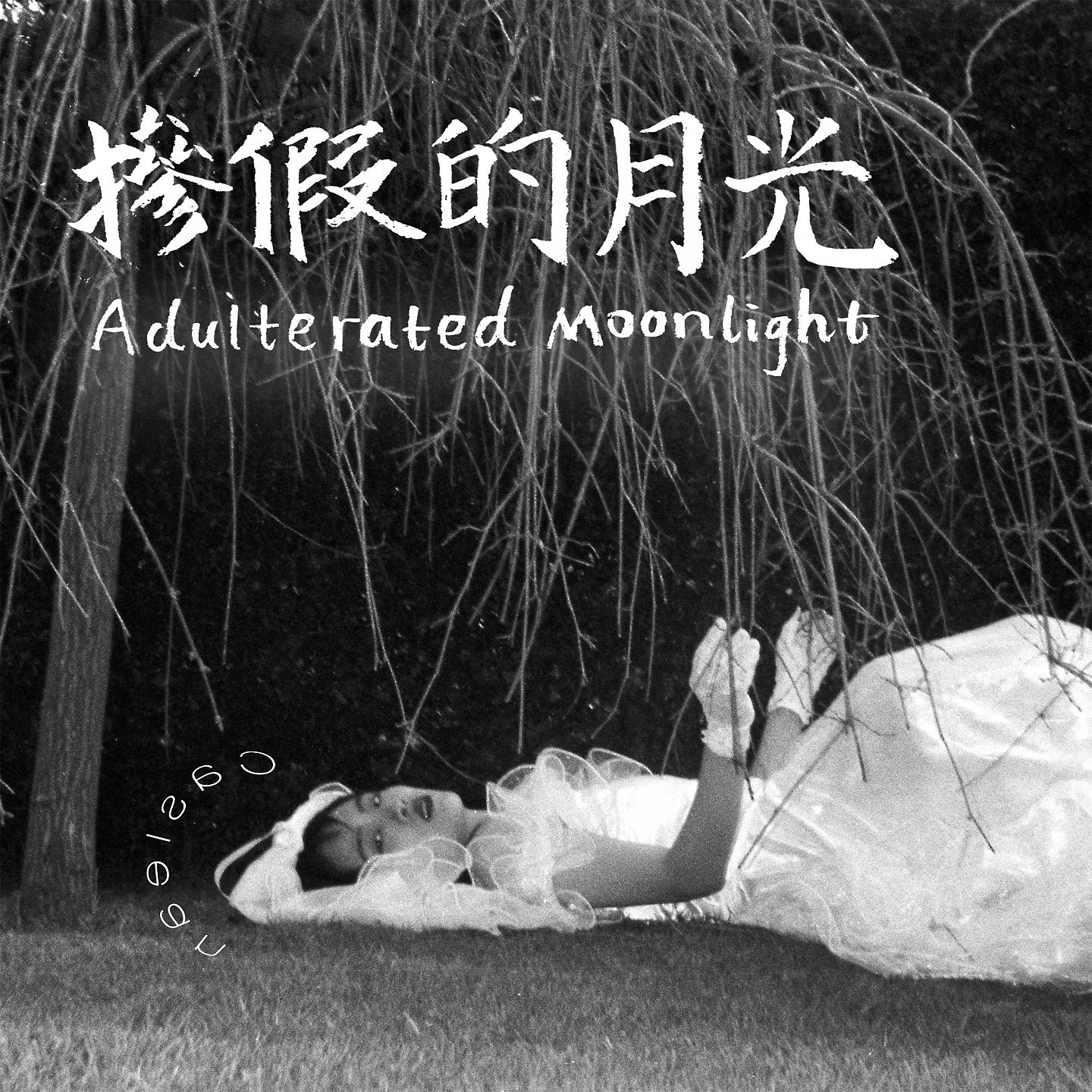 Постер альбома Adulterated Moonlight