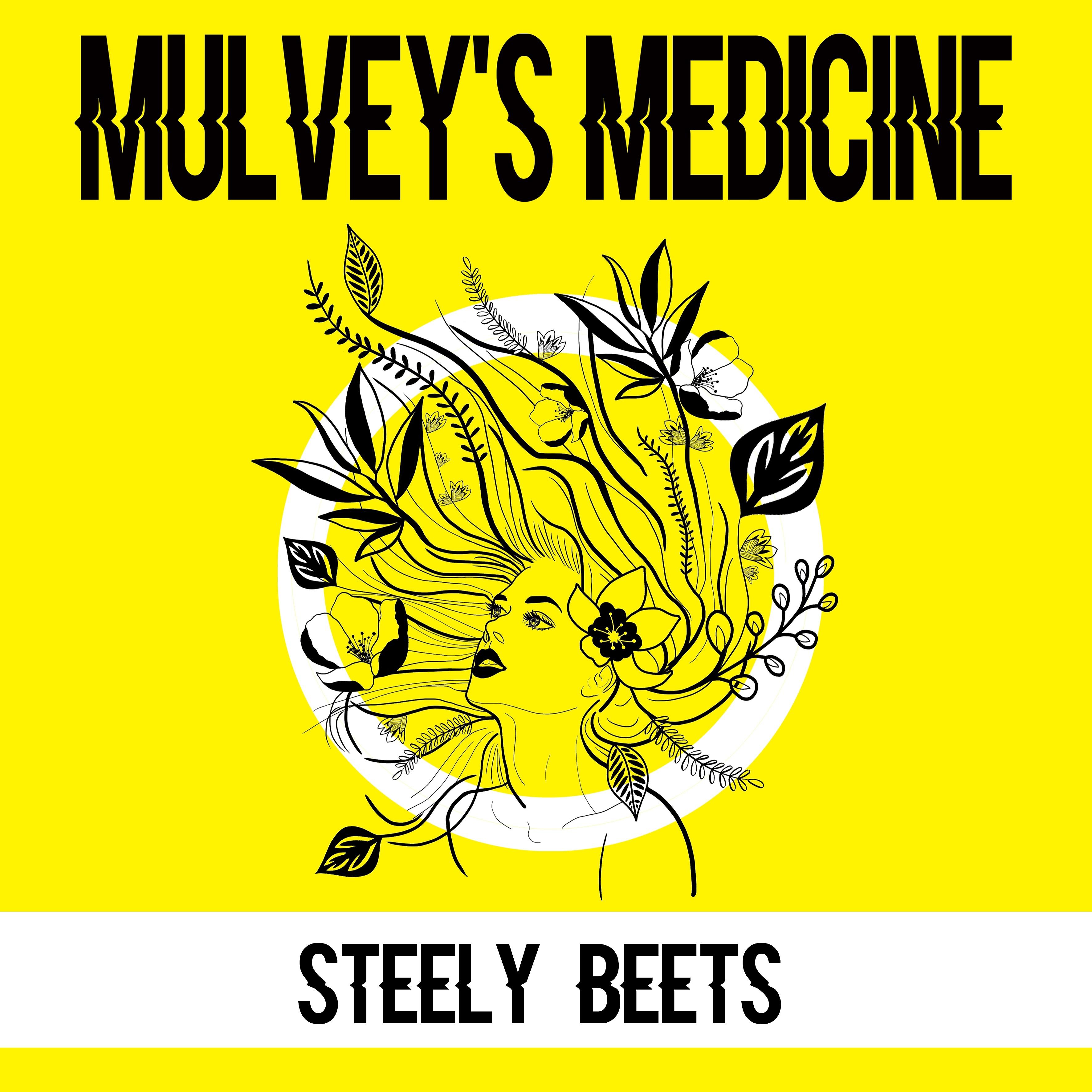 Постер альбома Steely Beets