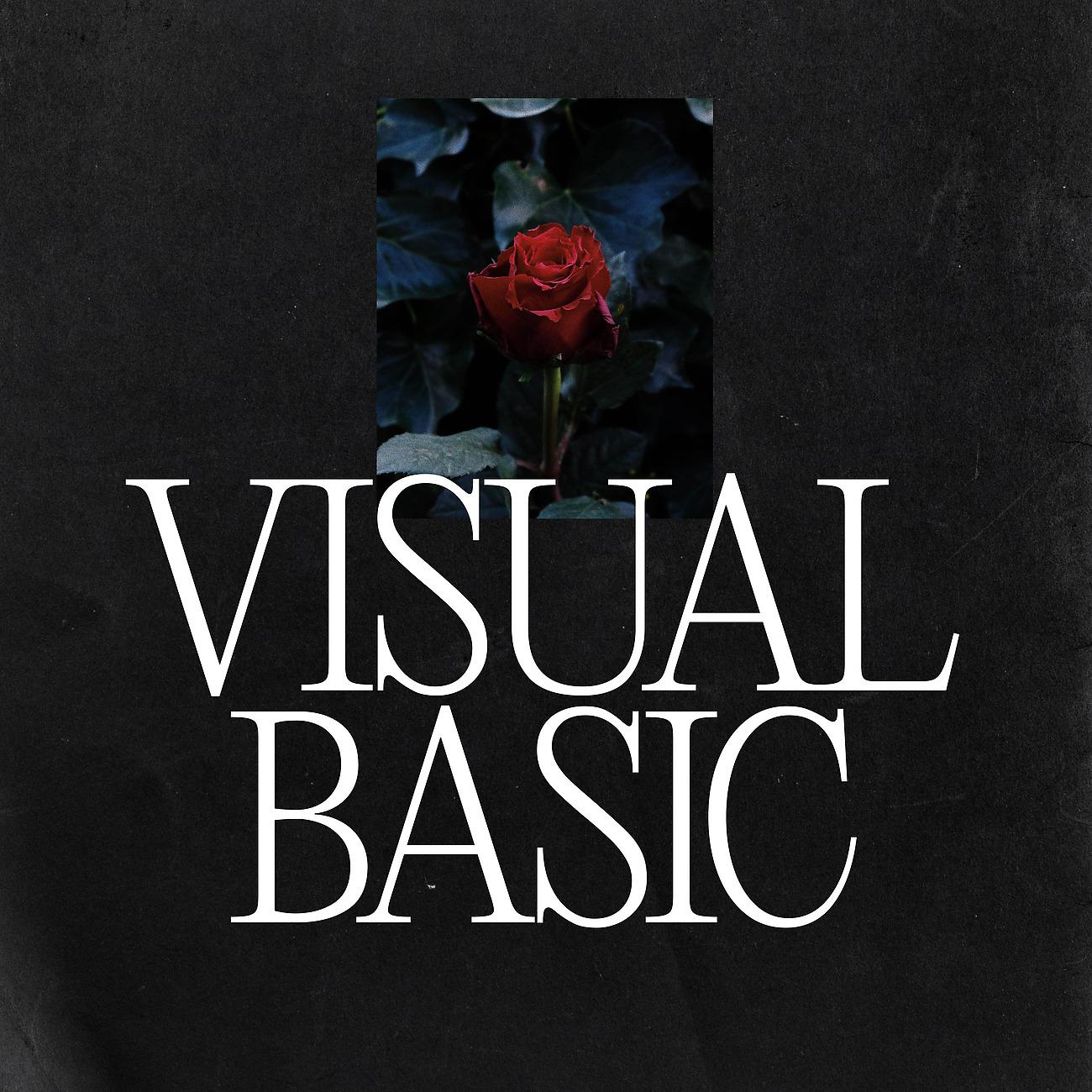 Постер альбома Visual Basic
