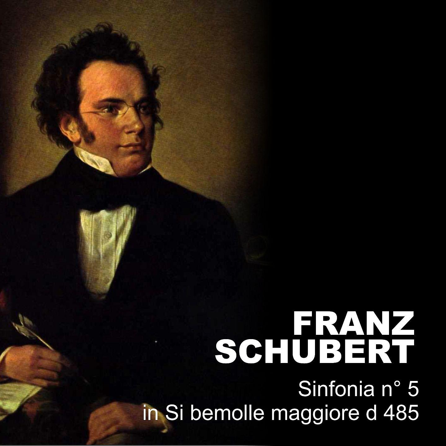 Постер альбома Sinfonia n.5 in Si bemolle maggiore D 485