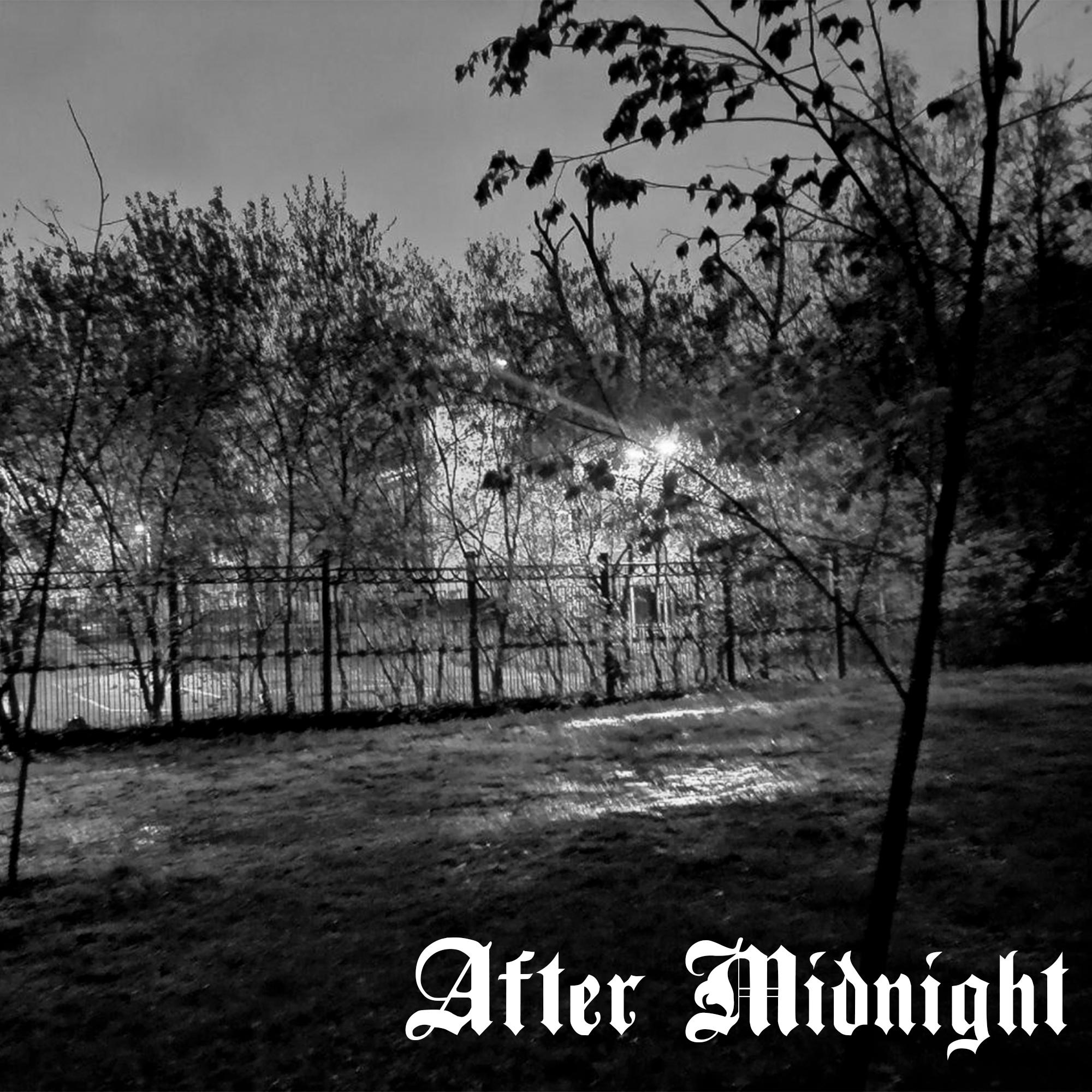 Постер альбома Midnight Landscape