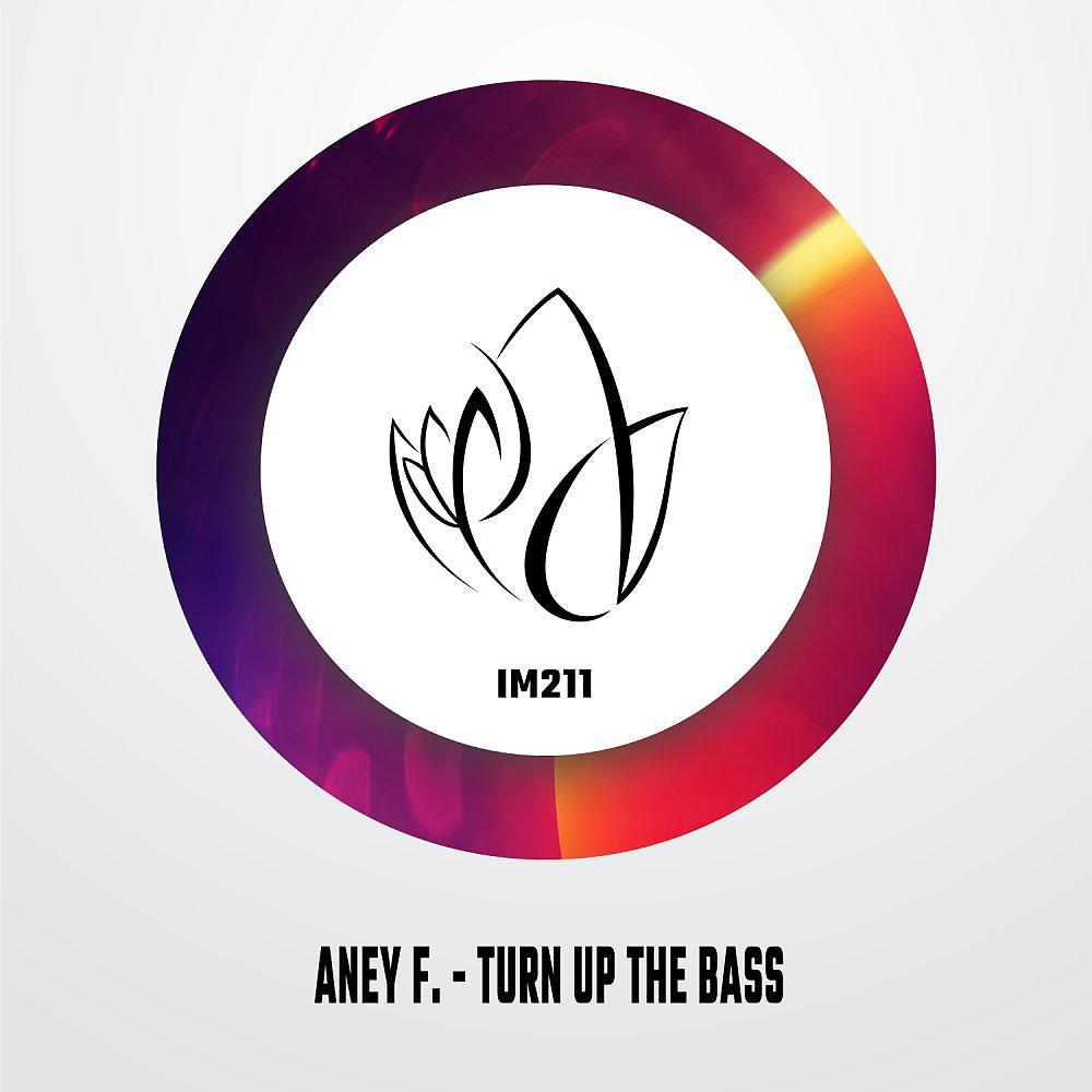 Постер альбома Turn Up The Bass