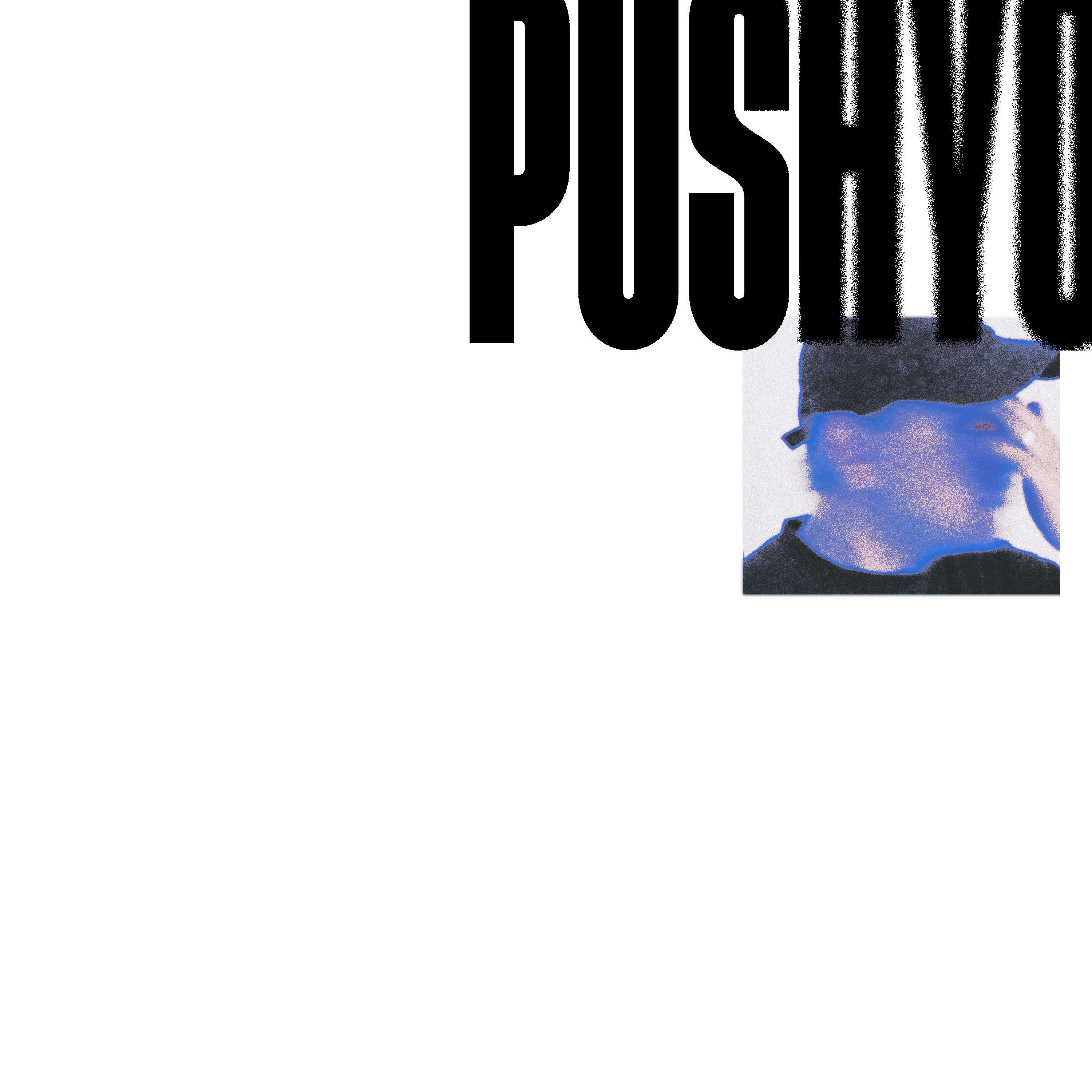 Постер альбома PUSHYO
