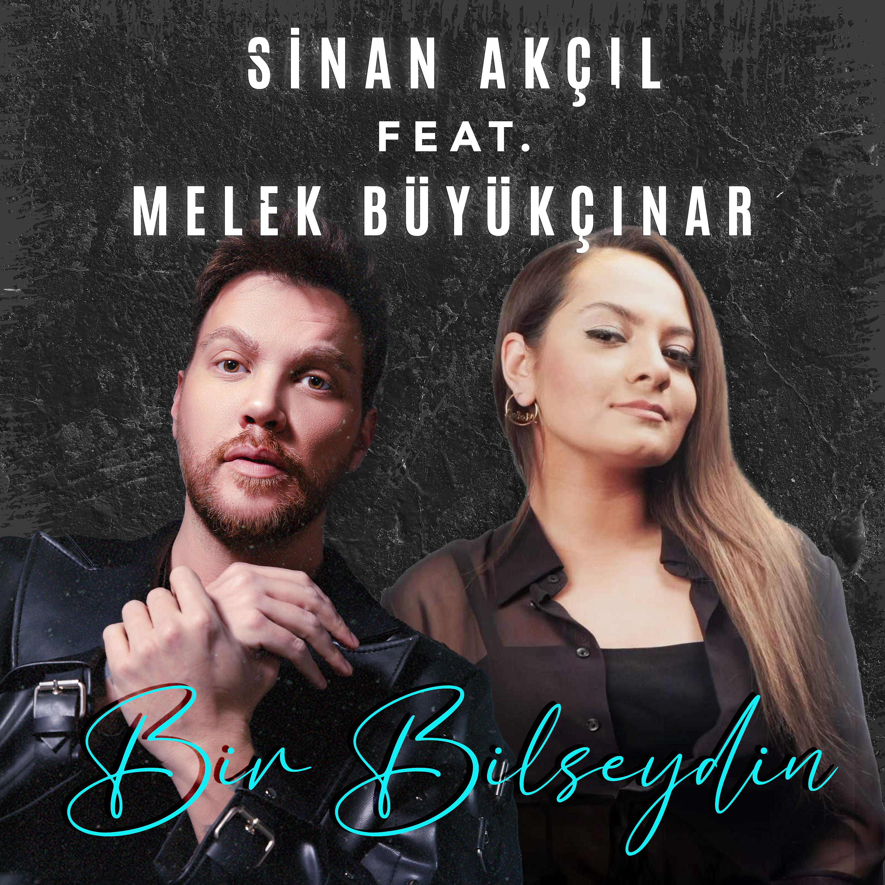 Постер альбома Bir Bilseydin