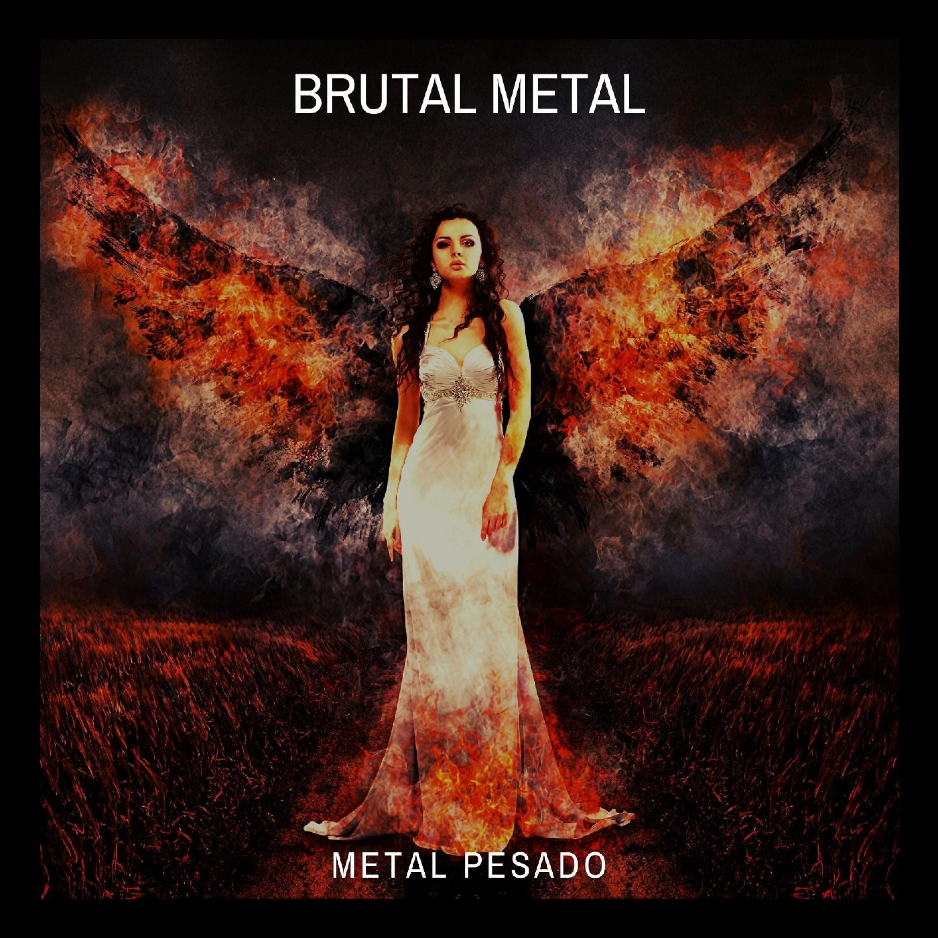 Постер альбома Metal Pesado