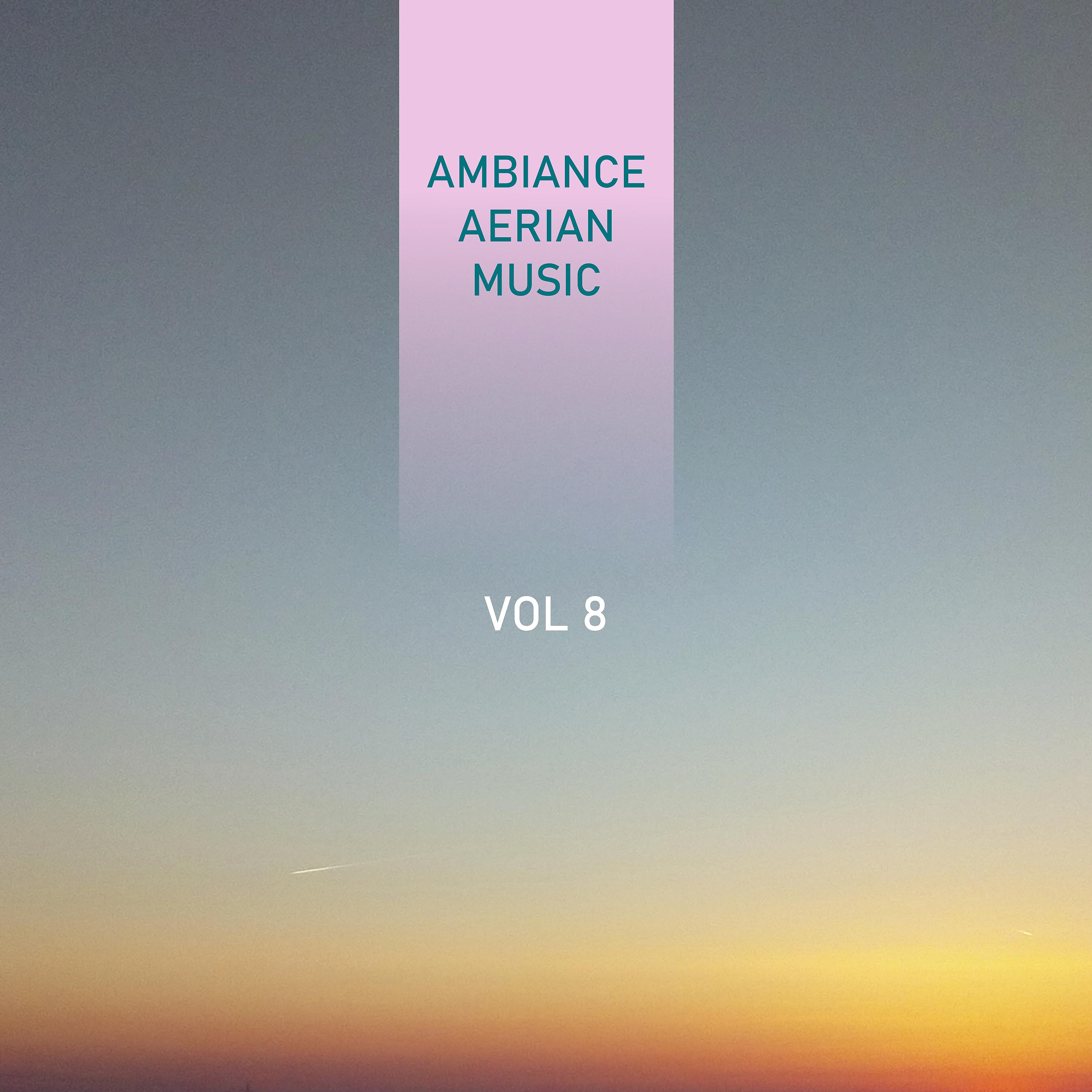 Постер альбома Ambiance Aerian Music, Vol. 8
