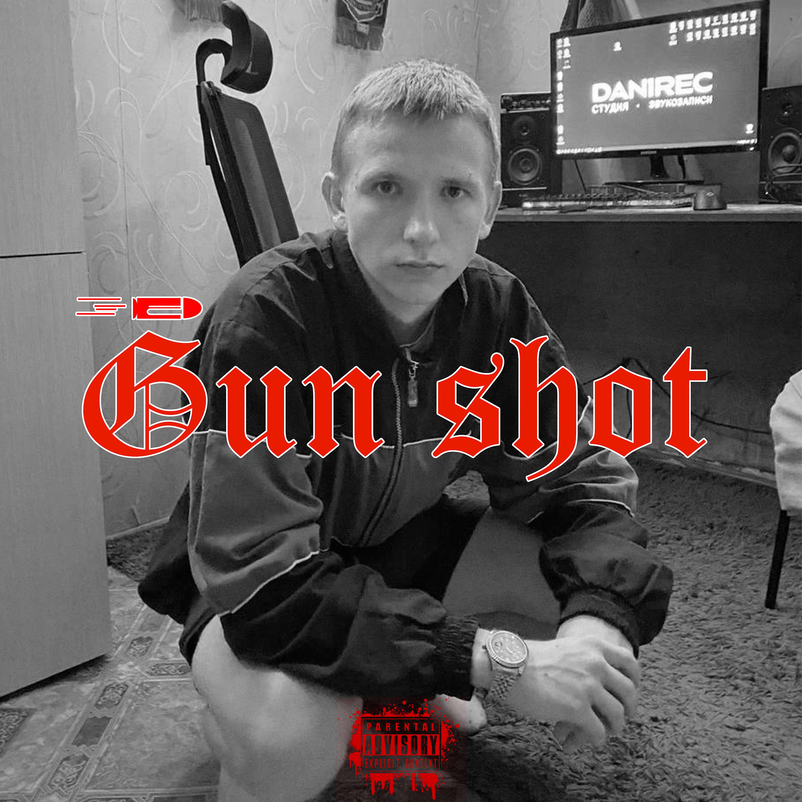 Постер альбома Gun Shot