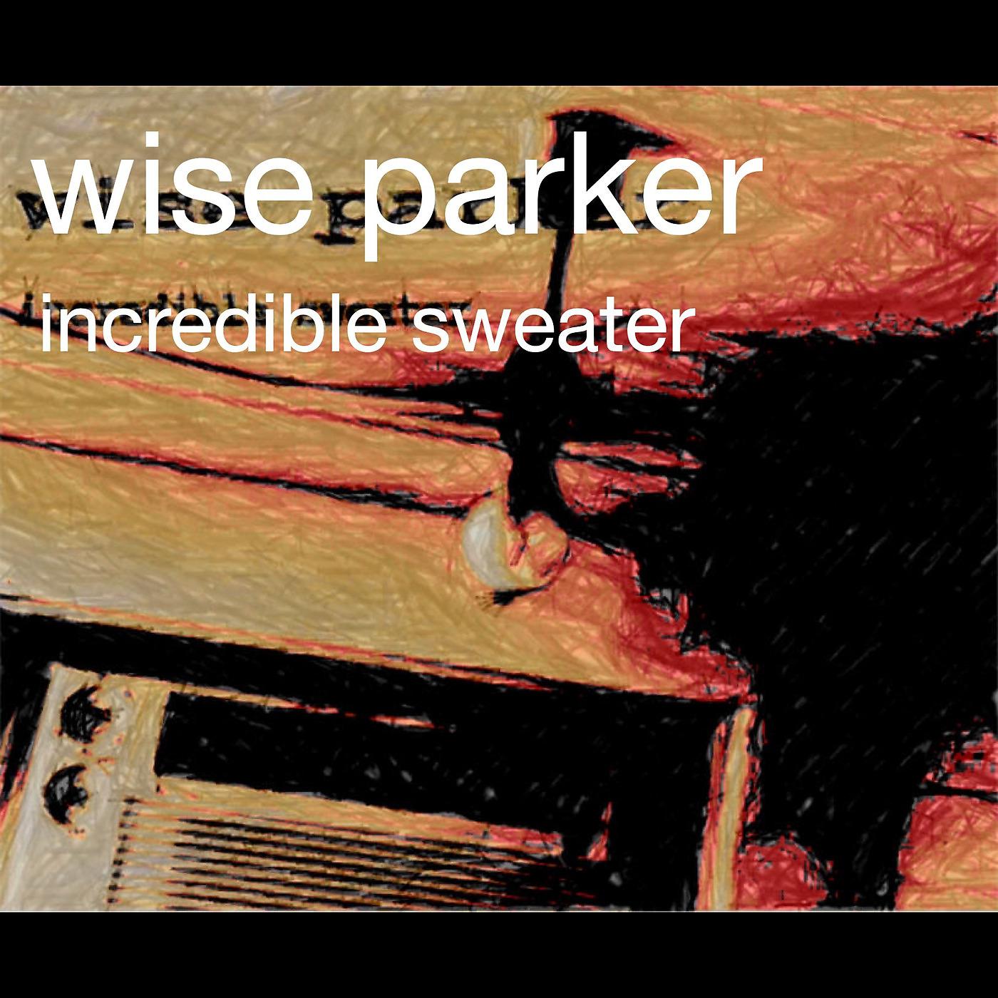 Постер альбома Incredible Sweater