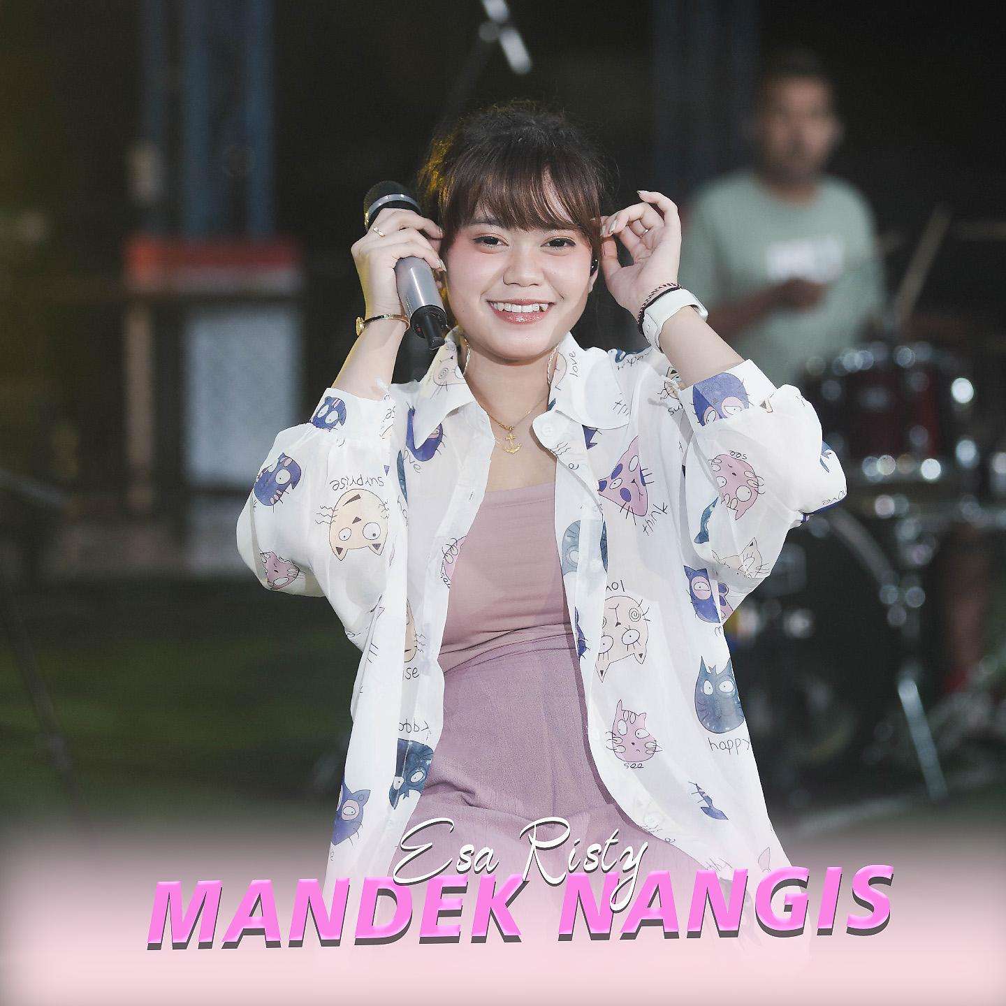 Постер альбома Mandek Nangis