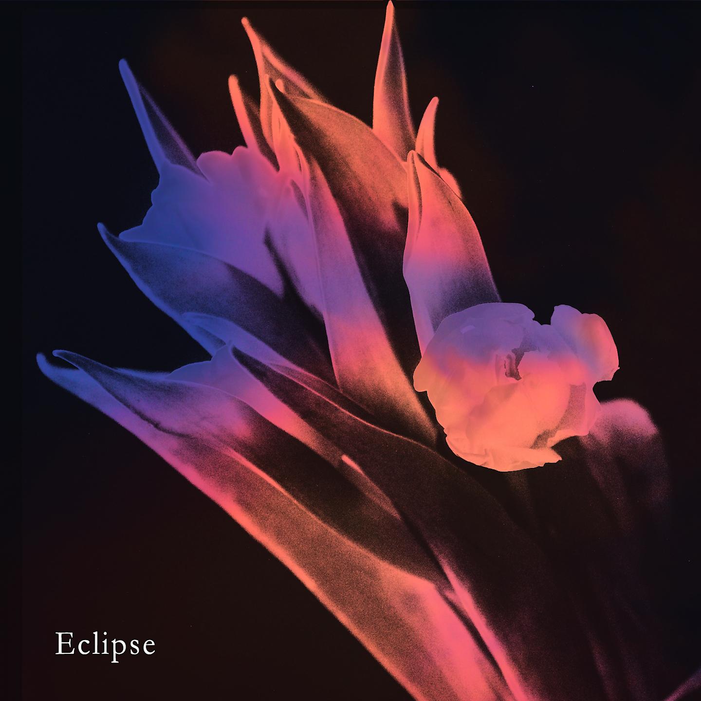 Постер альбома eclipse