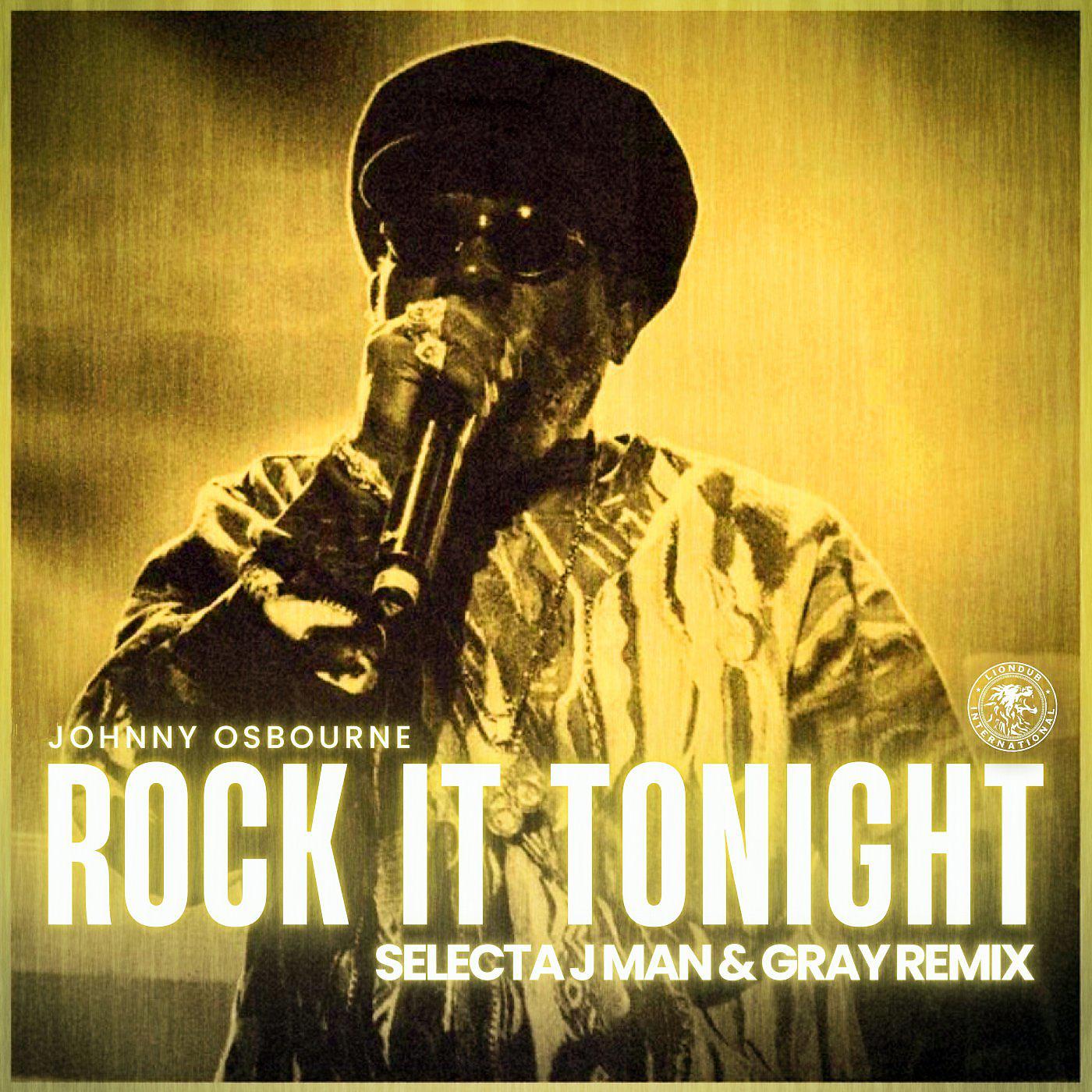 Постер альбома Rock It Tonight (Selecta J-Man & Gray Remix)