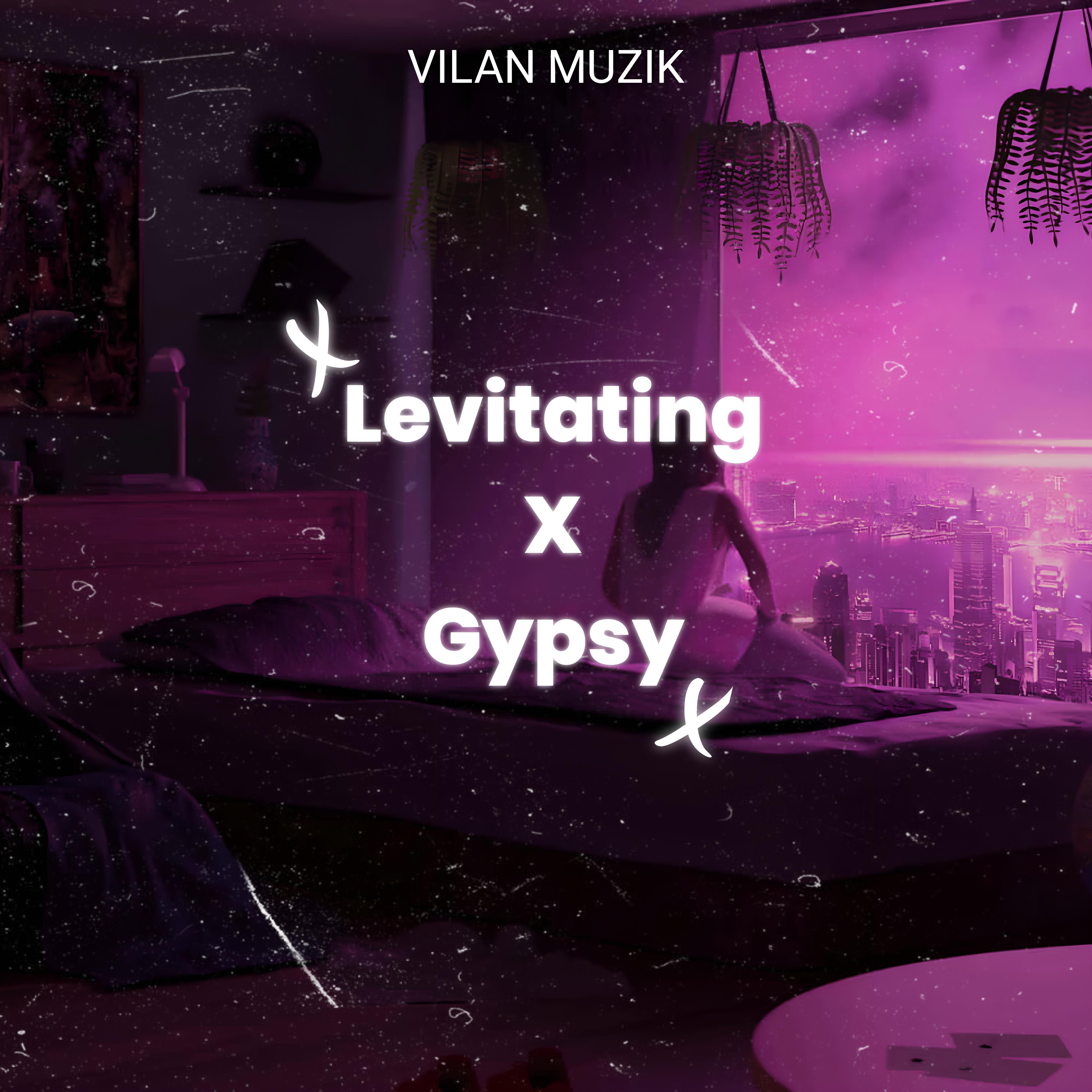 Постер альбома Levitating X Gypsy (Remix)