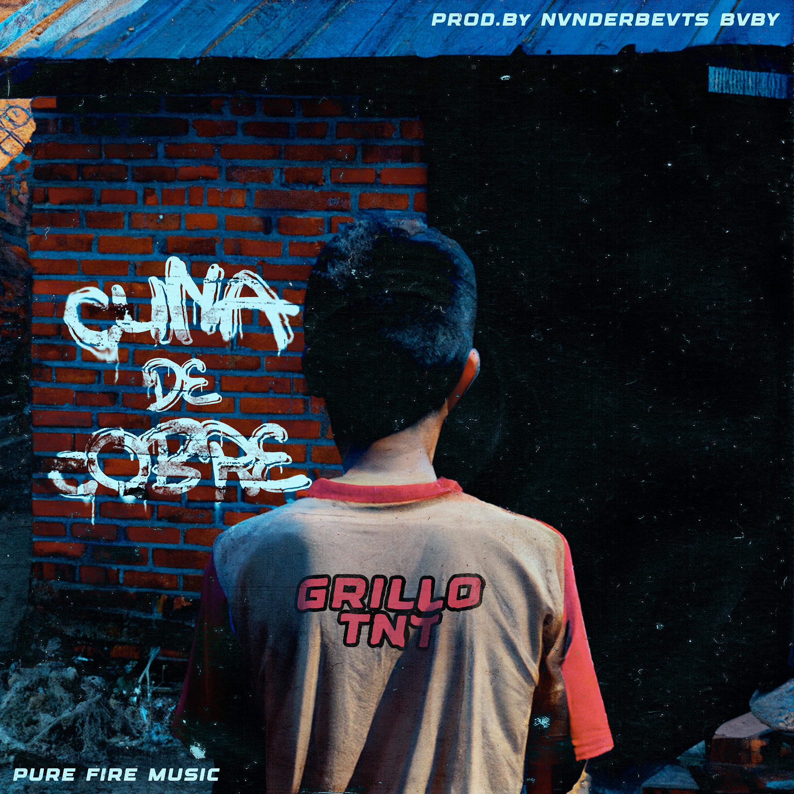 Постер альбома Cuna de Cobre