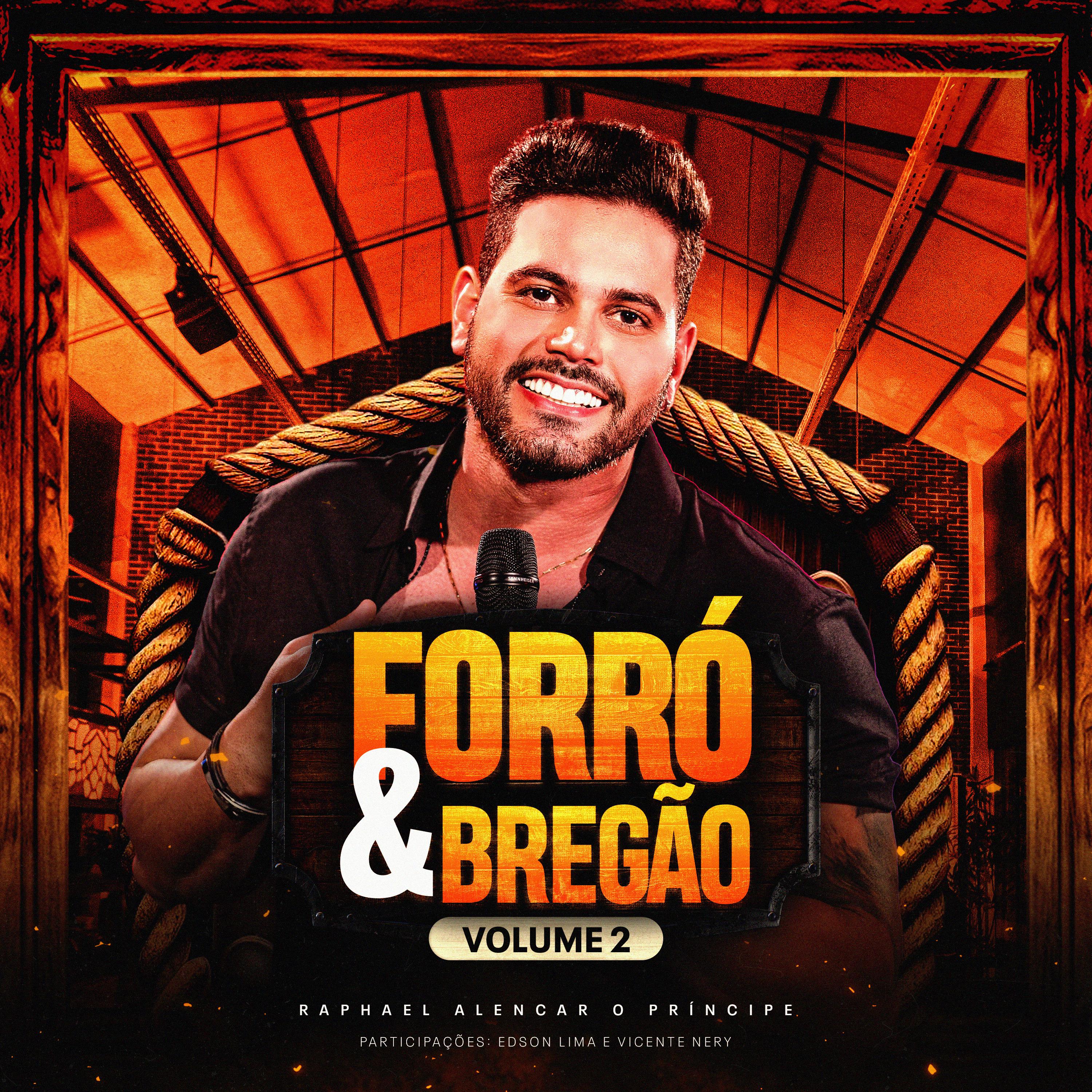 Постер альбома Forró & Bregão Vol.02