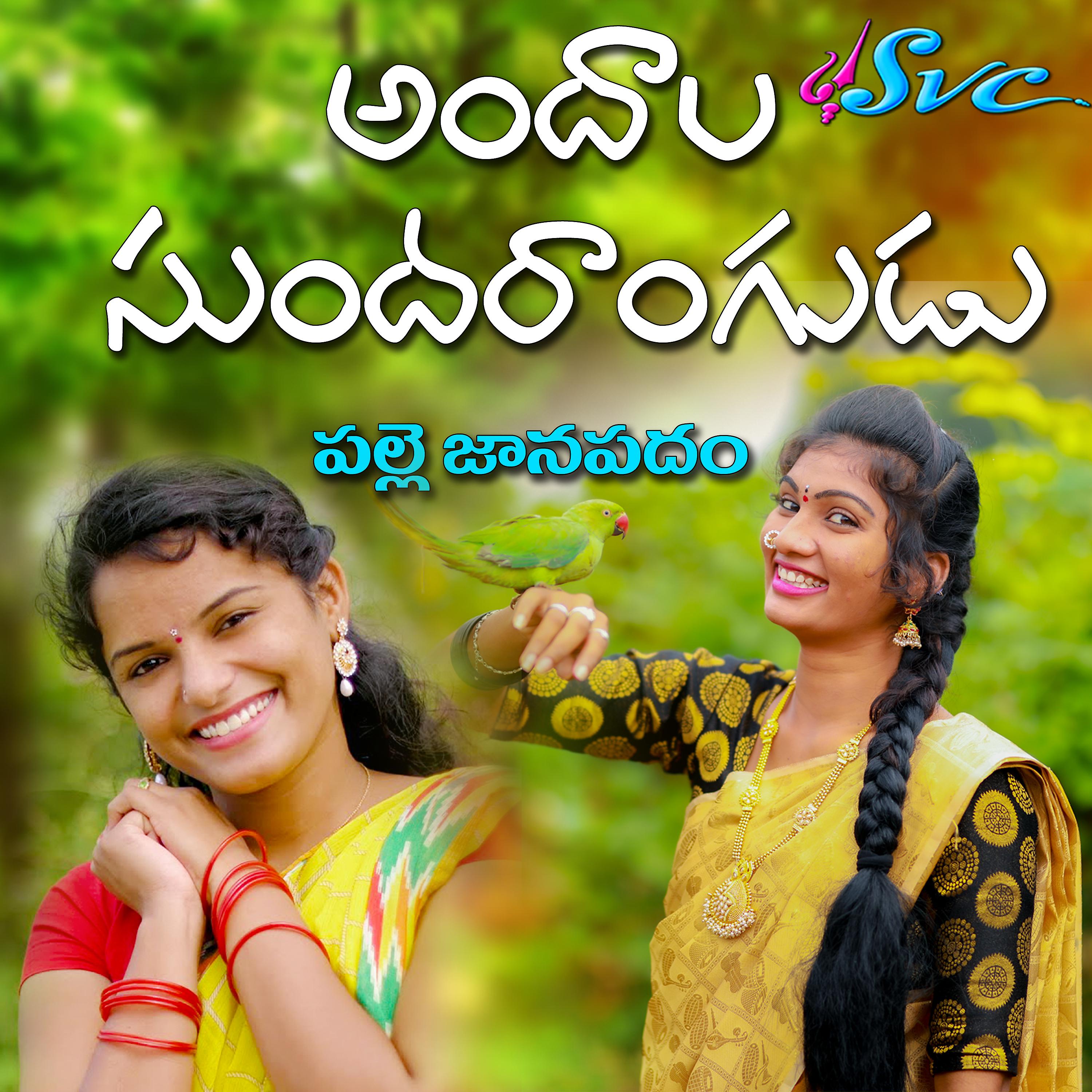Постер альбома Andaala Sundarangudu