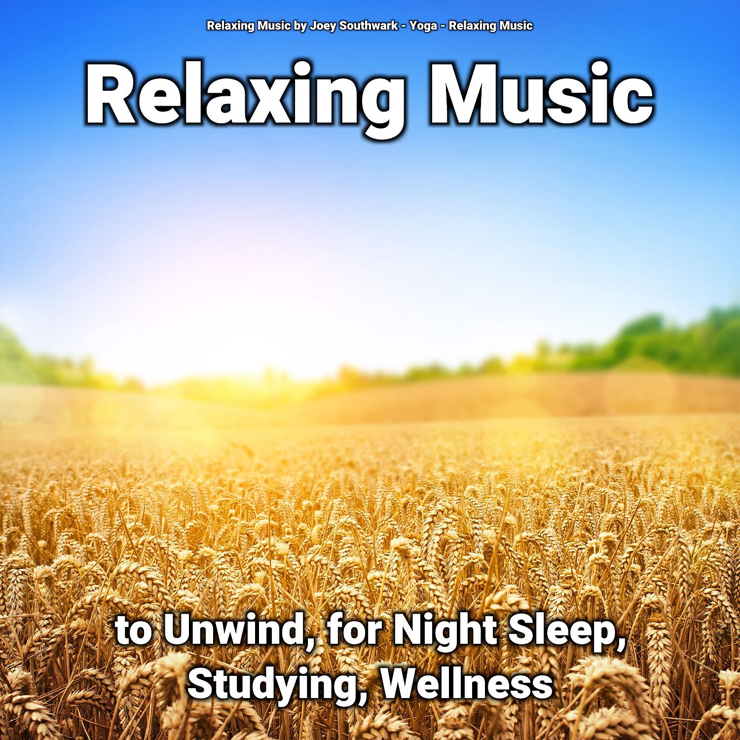 Постер альбома Relaxing Music to Unwind, for Night Sleep, Studying, Wellness