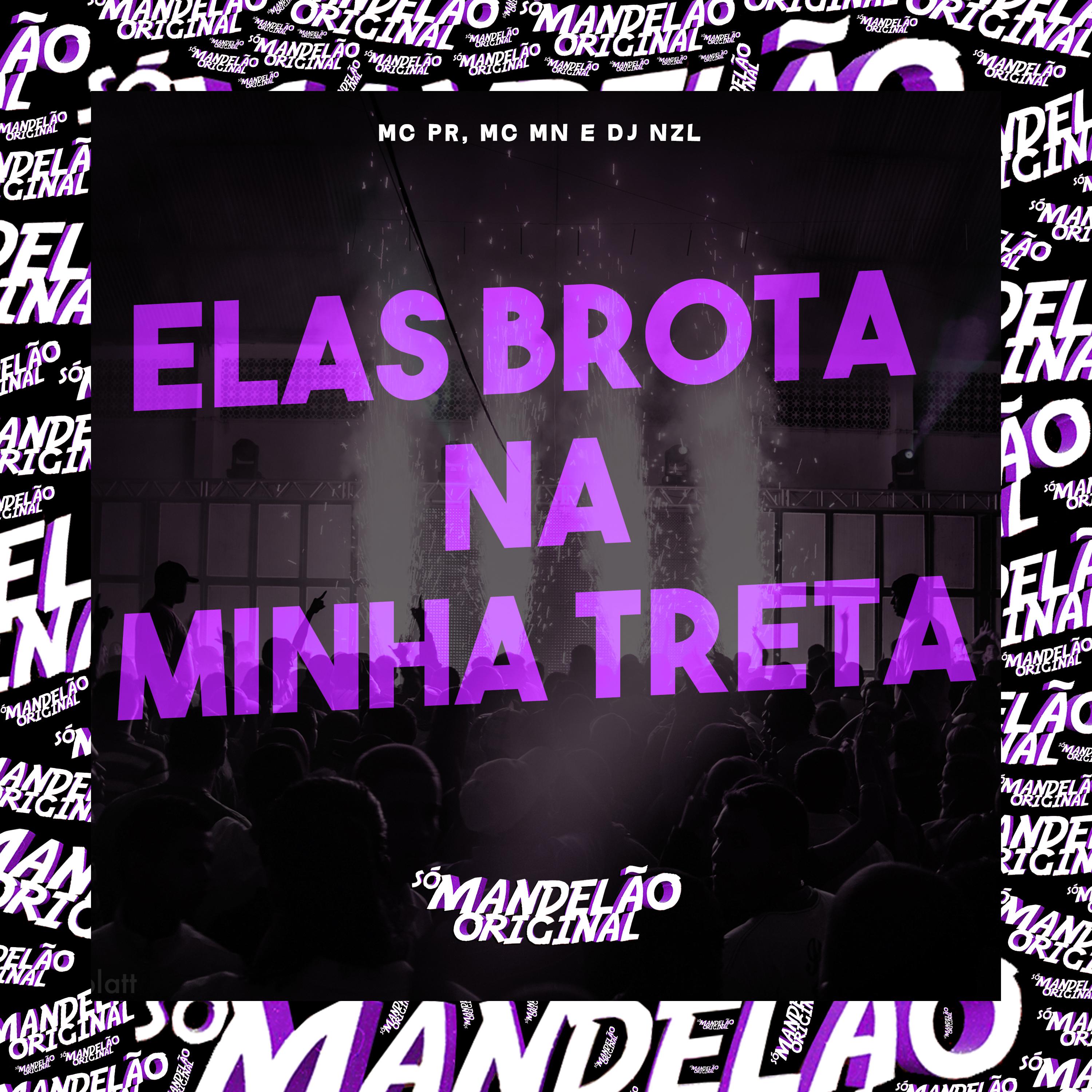 Постер альбома Elas Brota na Minha Treta