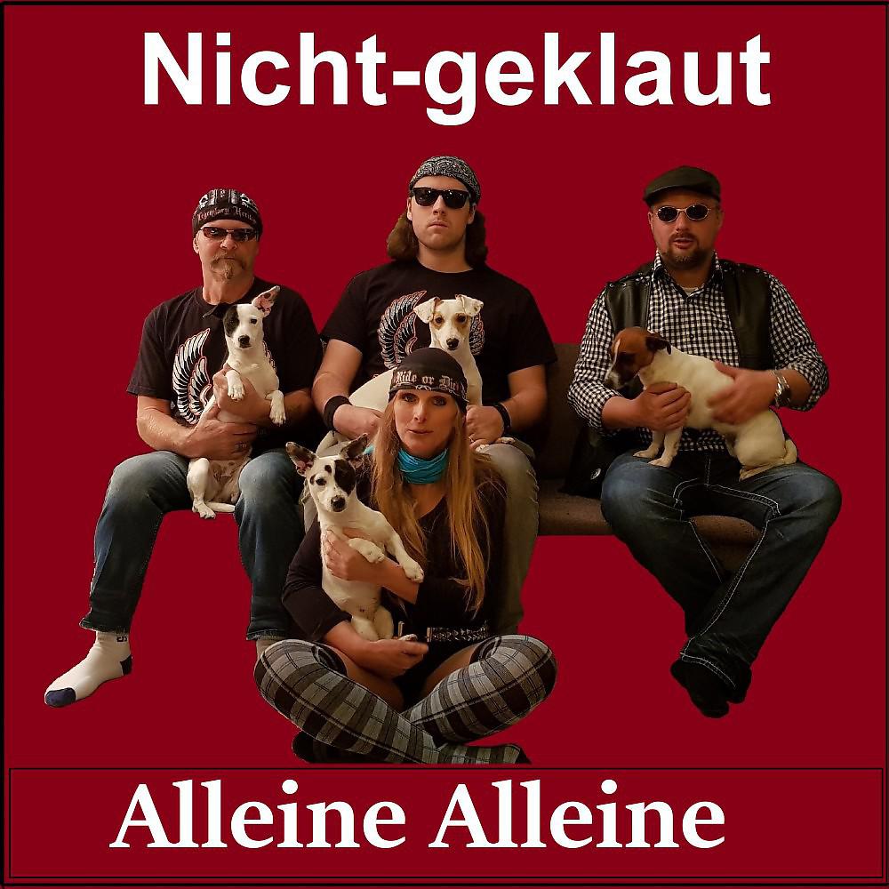 Постер альбома Alleine alleine
