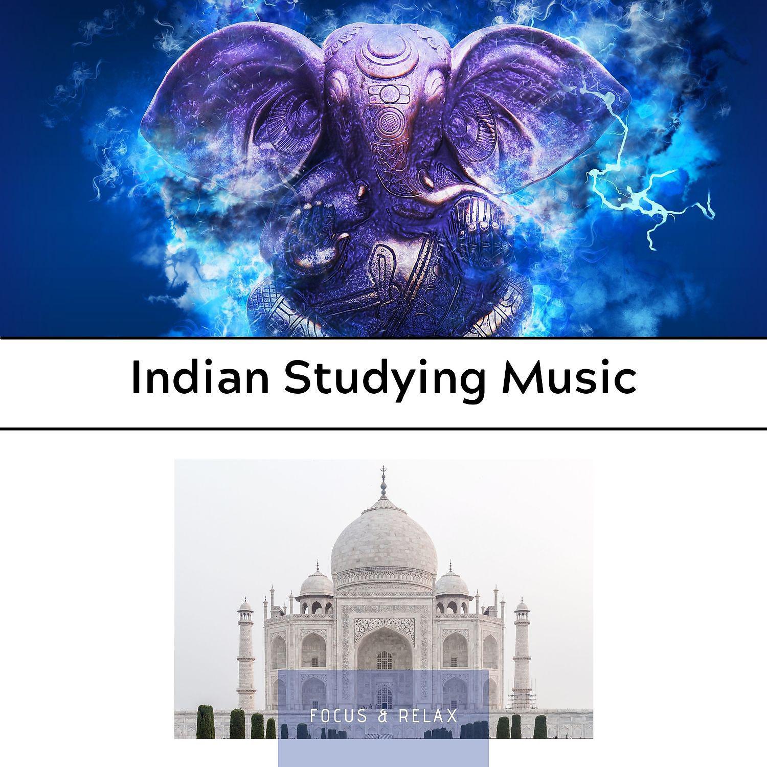 Постер альбома Indian Studying Music
