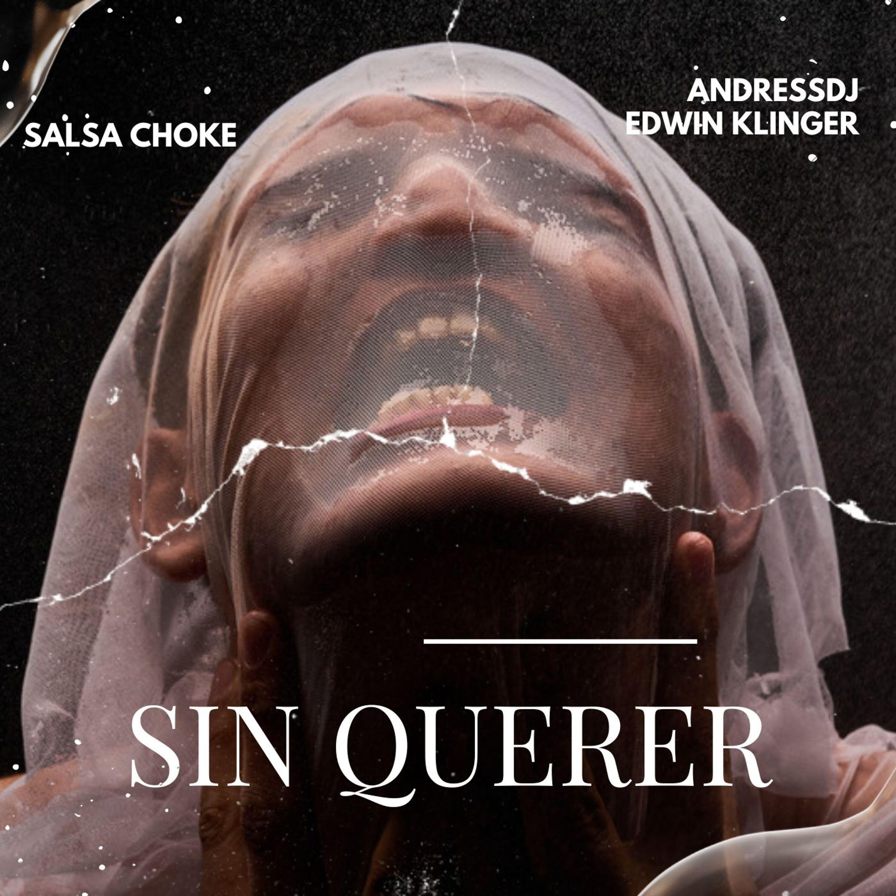 Постер альбома Sin Querer Salsa Choke